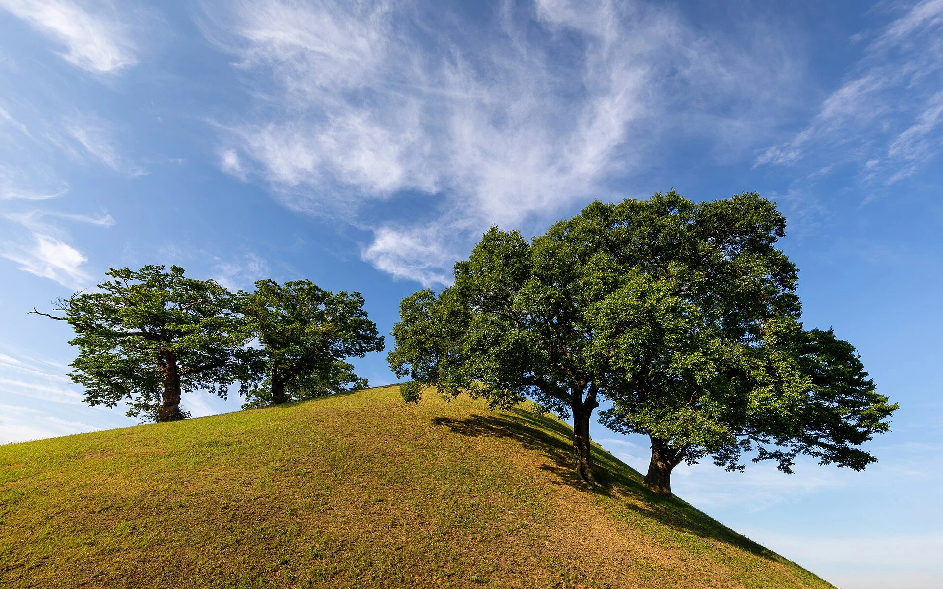 Royal burial mounds at Daereungwon in Gyeongju
