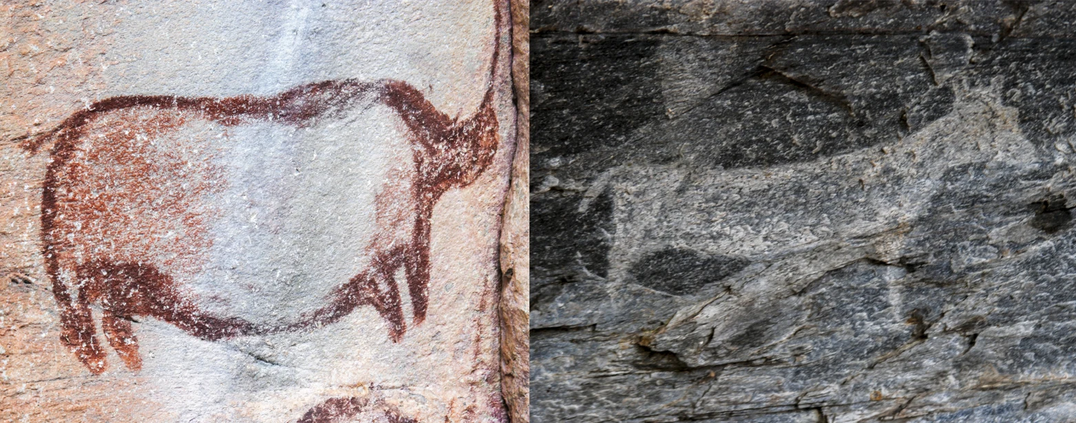 Painel de arte rupestre numa parede rochosa de Tsodilo Hills.