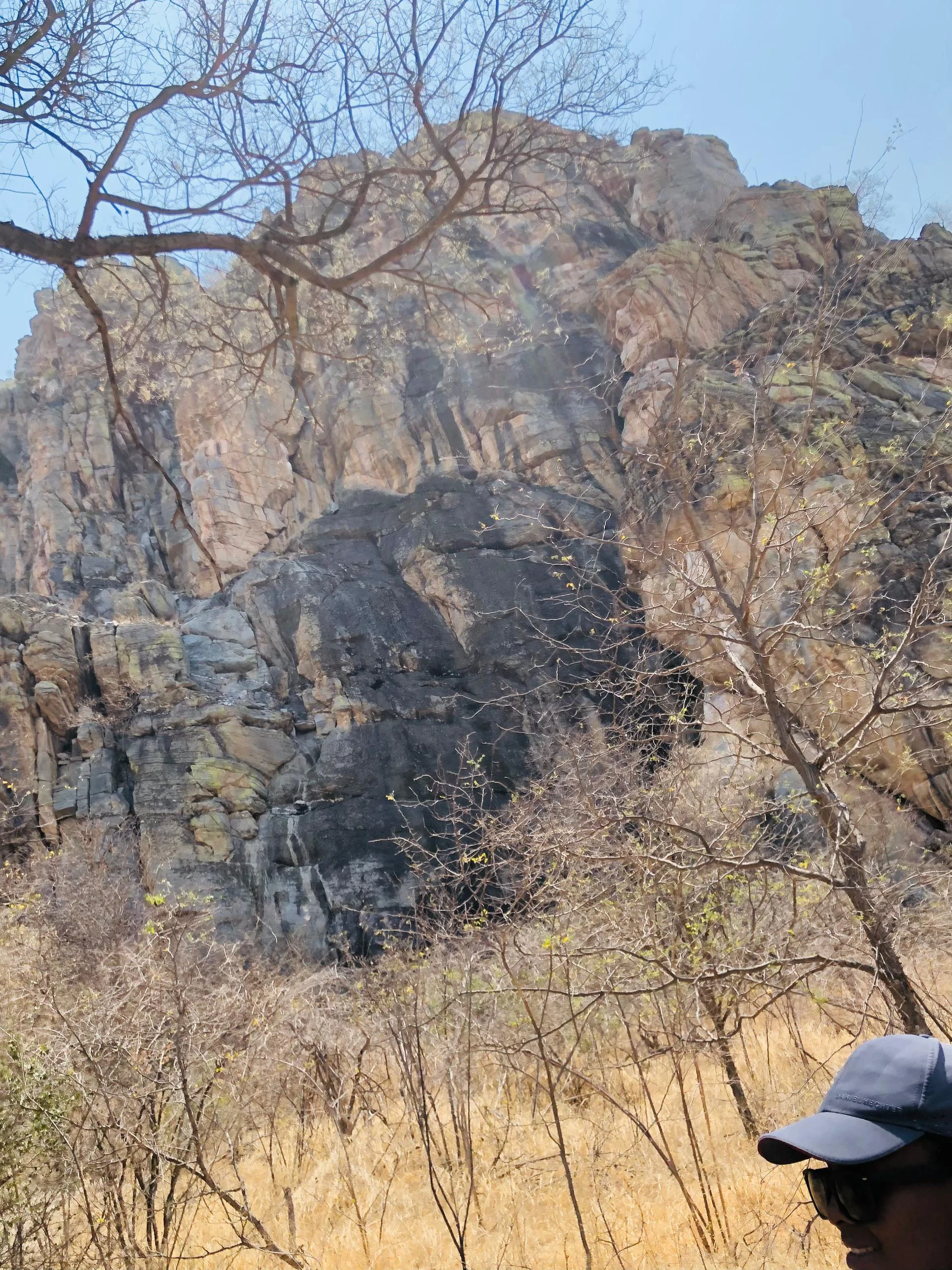 Trilha pela vegetação seca perto de Tsodilo Hills, no Botswana.