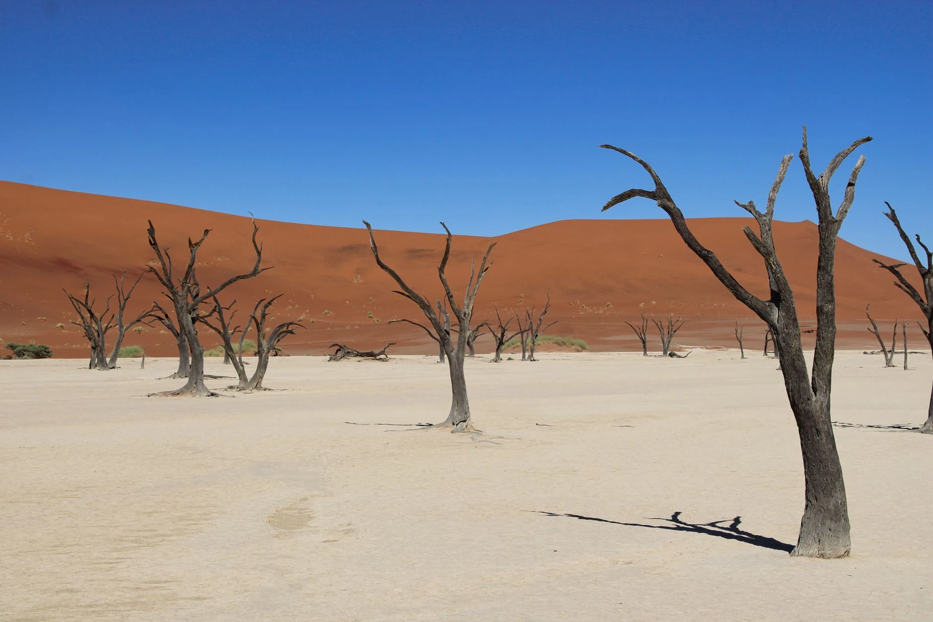 Sandy access track toward Deadvlei in the Sossusvlei area.