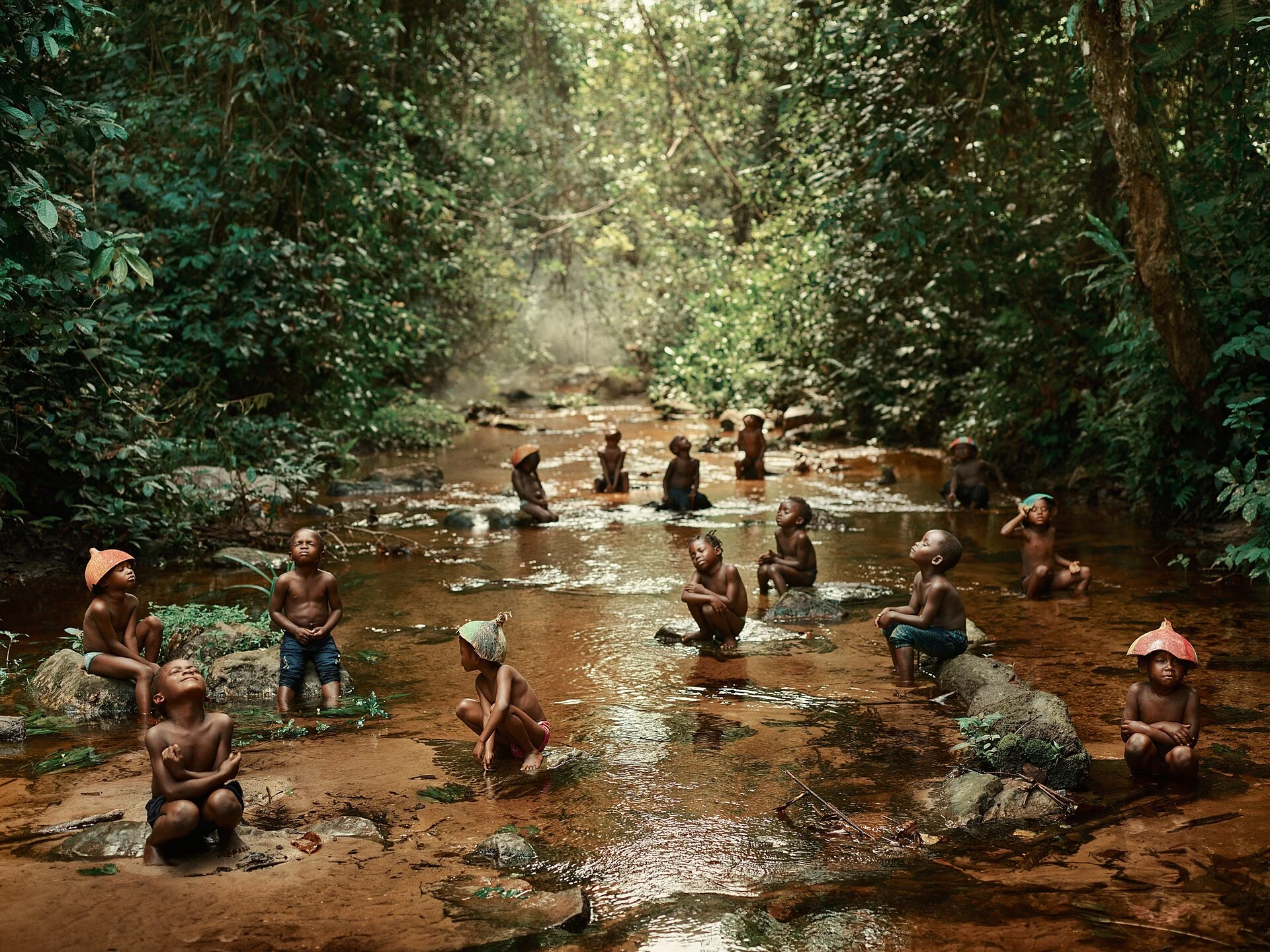 Forest bai clearing in Odzala-Kokoua National Park.