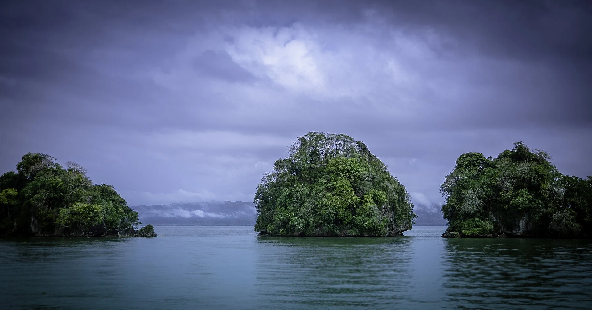 Vegetated limestone mogotes beside the water in Los Haitises National Park.