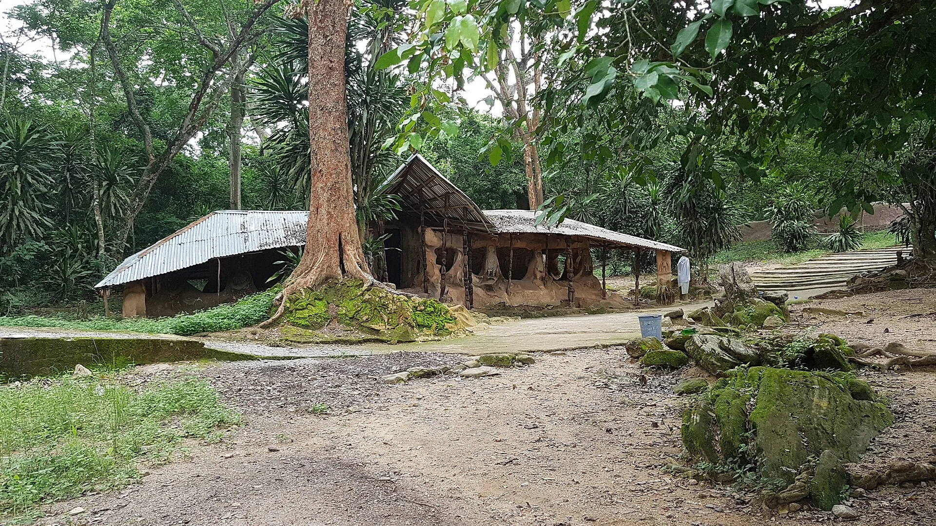 Shaded path through vegetation and a shrine in the Osun-Osogbo Sacred Grove.