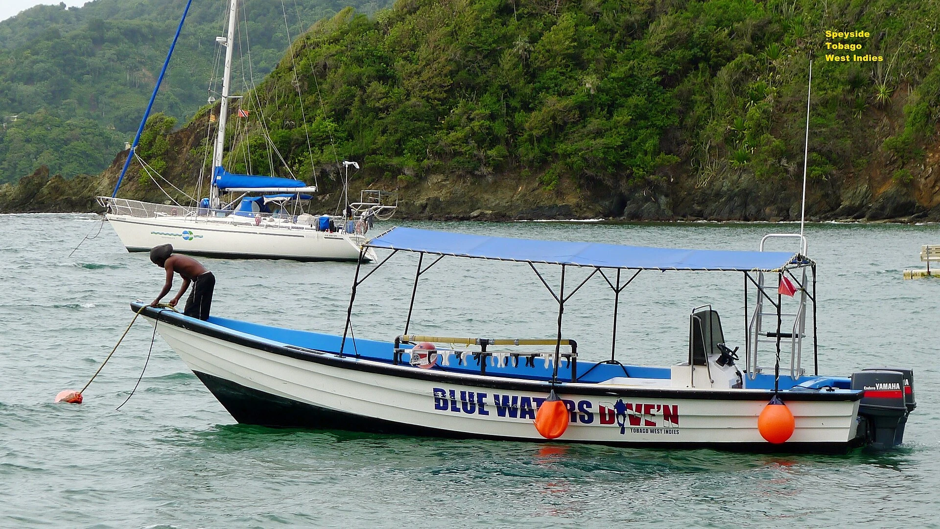 Fishing boats anchored in Speyside Bay, Tobago.