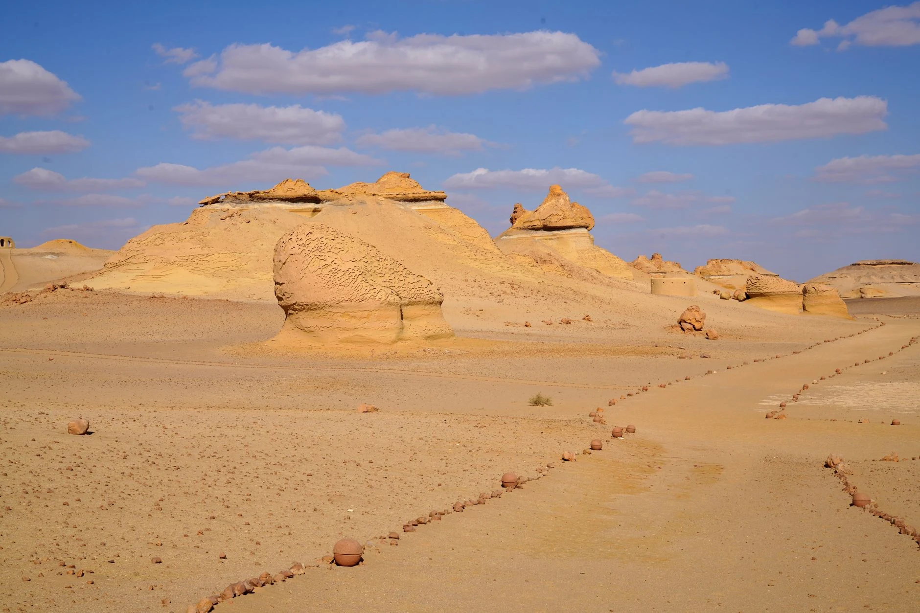Exposed fossil whale skeleton beside the marked trail at Wadi Al-Hitan.