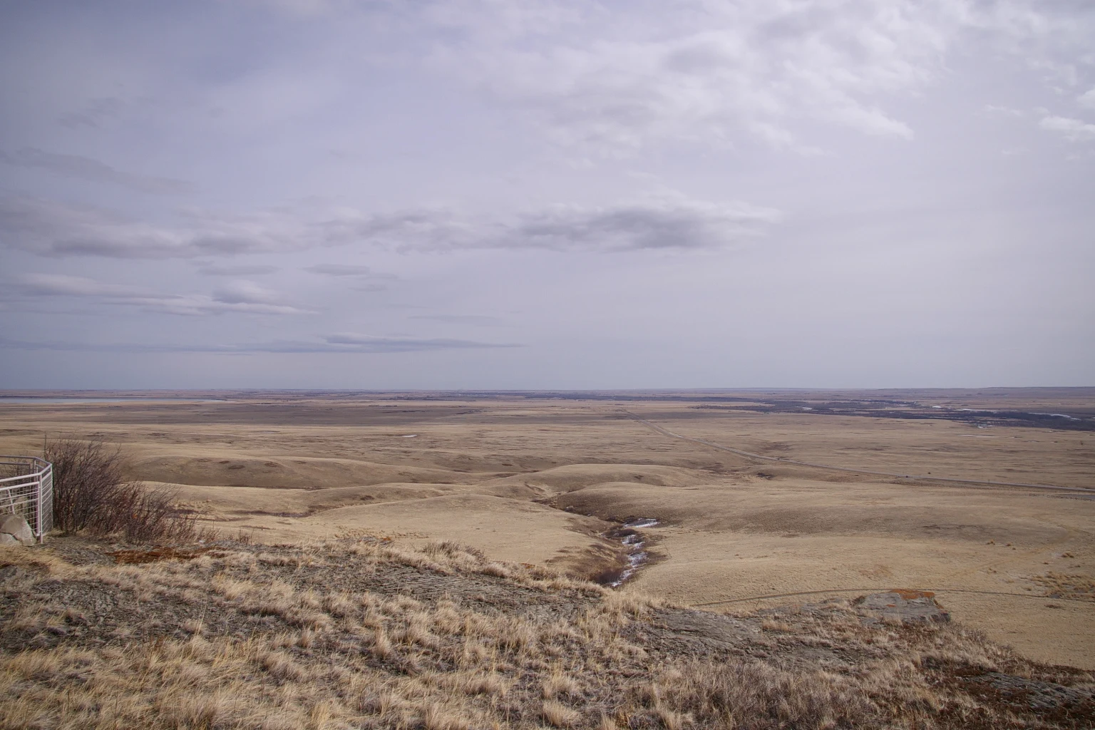 Bison in a grassland landscape, contextual image not necessarily taken at the site.