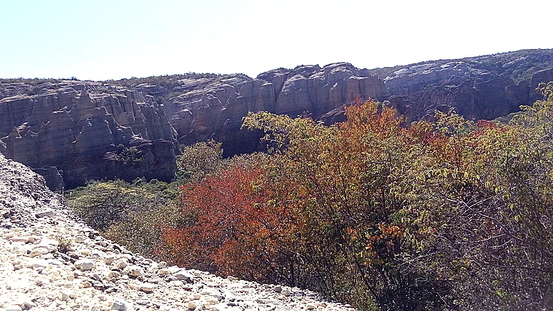 Rock paintings in a Serra da Capivara sandstone shelter.