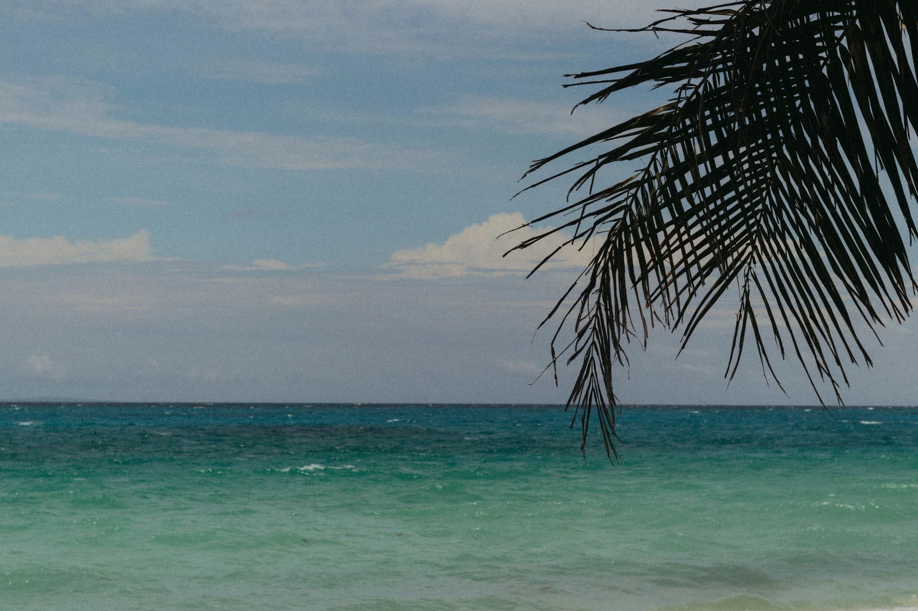 Riva tropicale generica usata come immagine di contesto per Vanuatu.