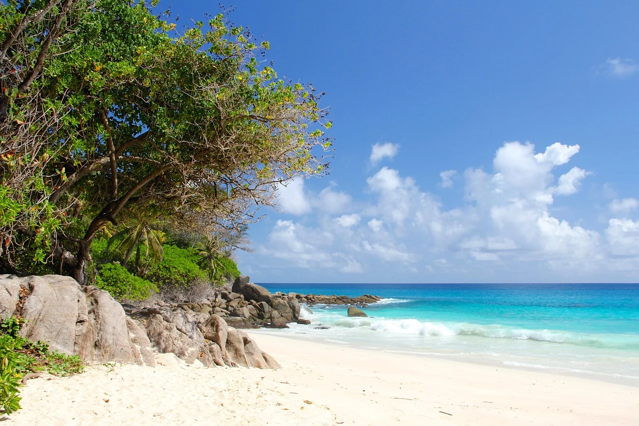 Generic island landscape over the ocean, used as visual context rather than an identifiable view of Seychelles.