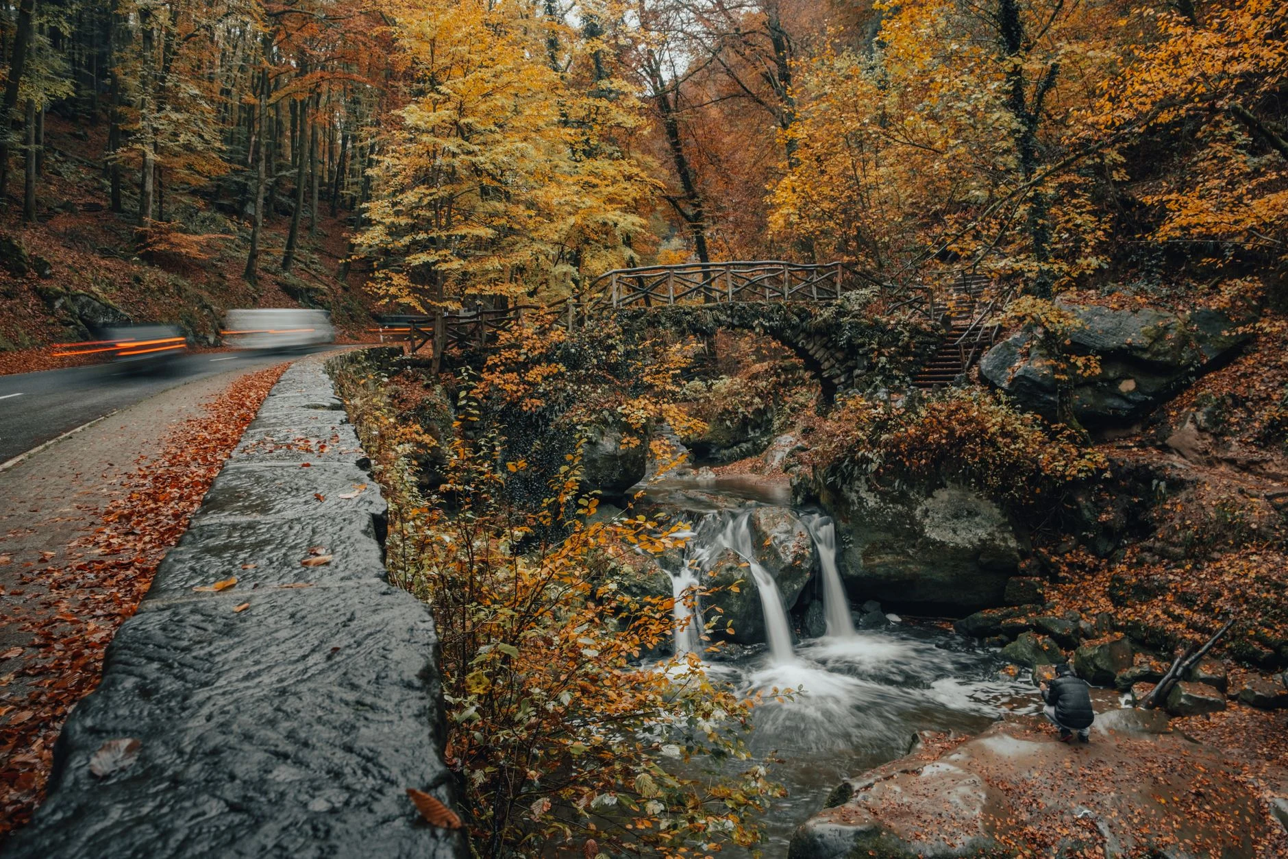 Stream and wooden footbridge in a wooded Müllerthal valley.