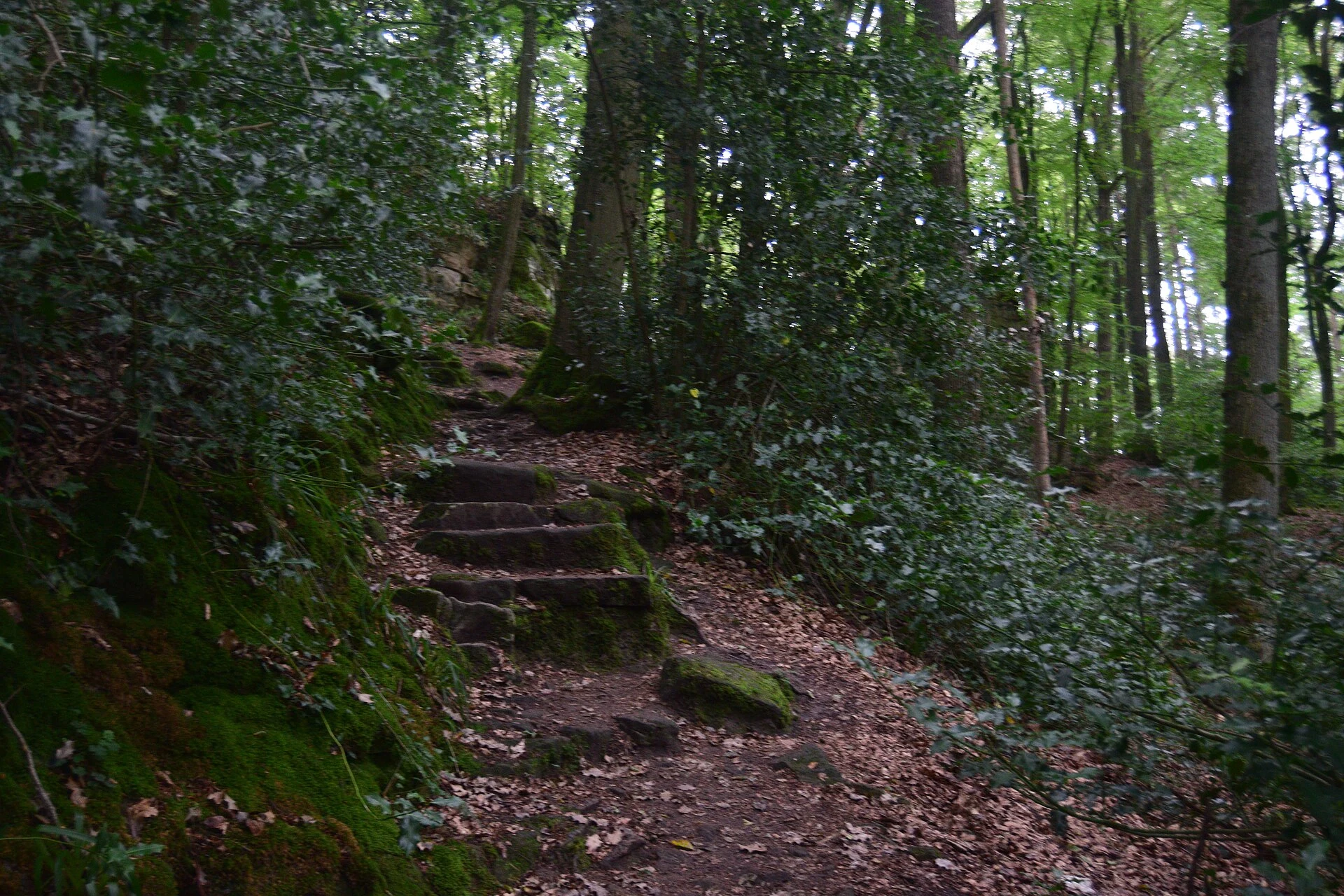 Choosing a Walking Route on Luxembourg’s Mullerthal Trail