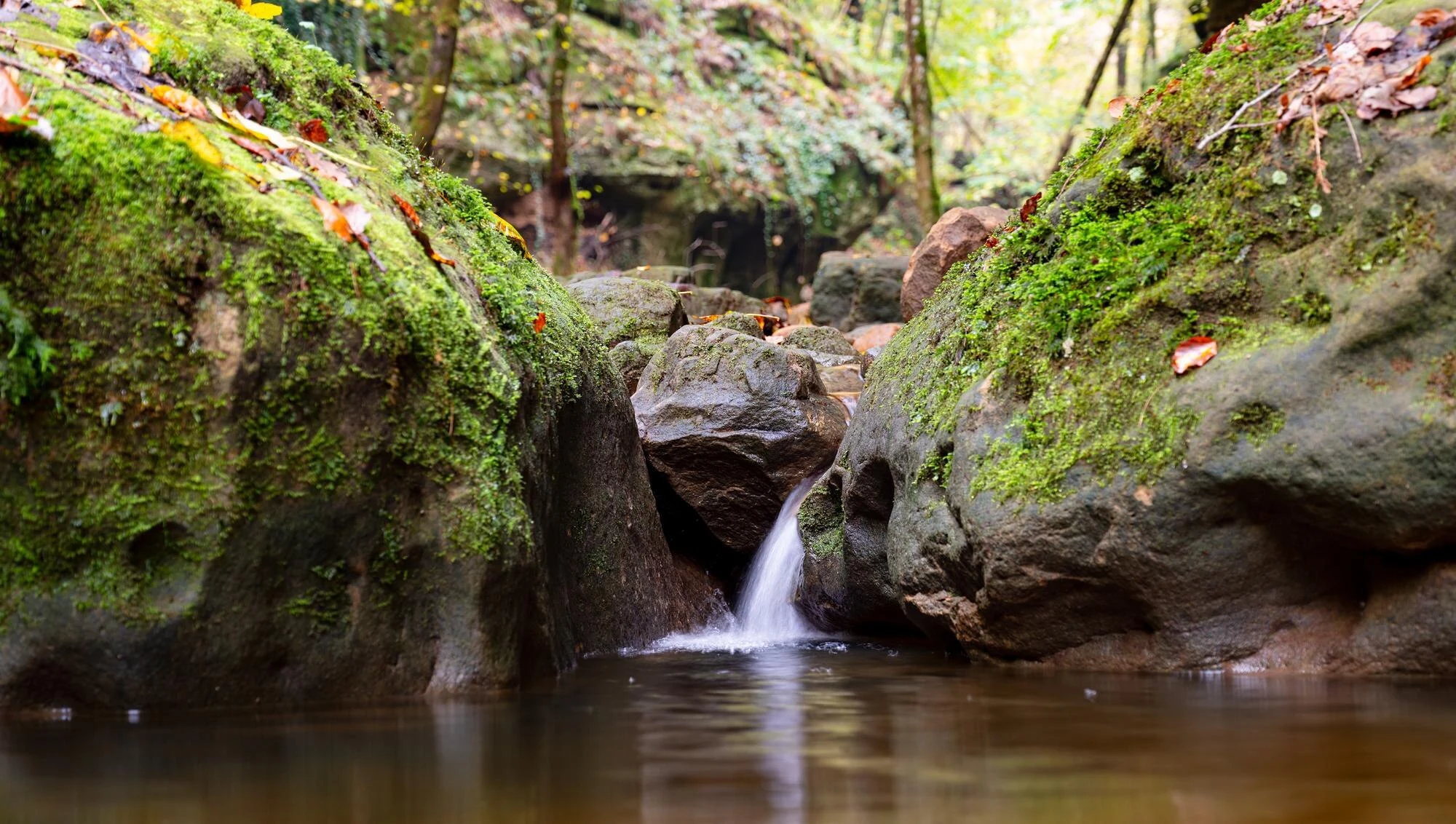 Choosing a Walking Route on Luxembourg’s Mullerthal Trail