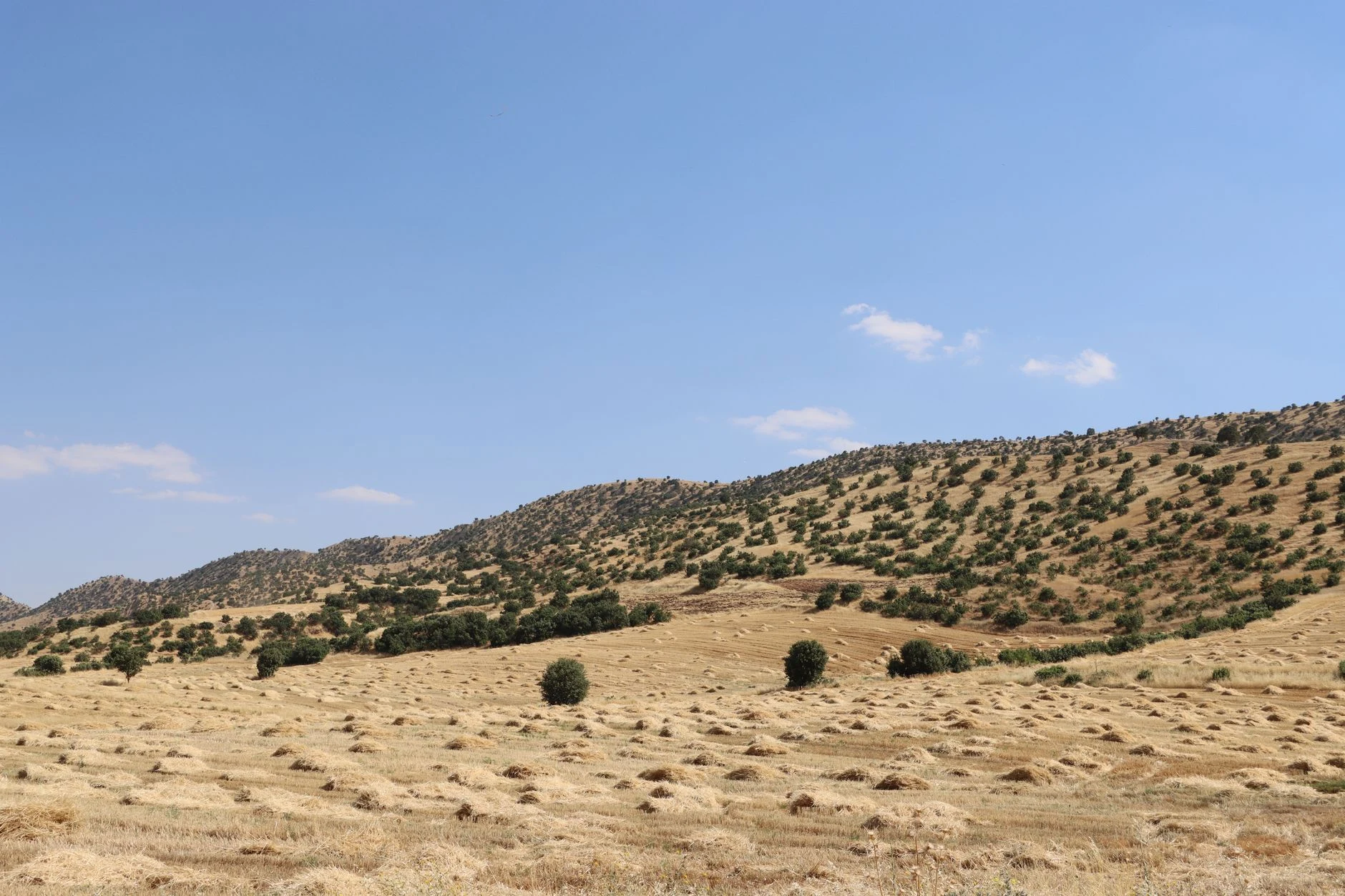 Paesaggio arido non identificabile usato come contesto dell’Asia centrale.