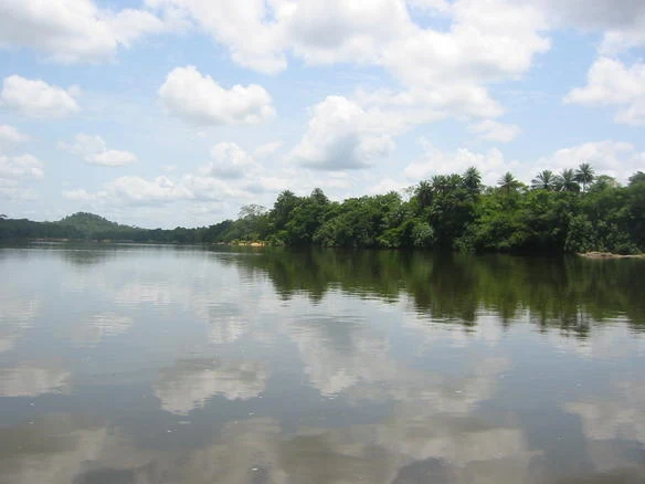 Boat on the Moa River beside Tiwai Island forest.