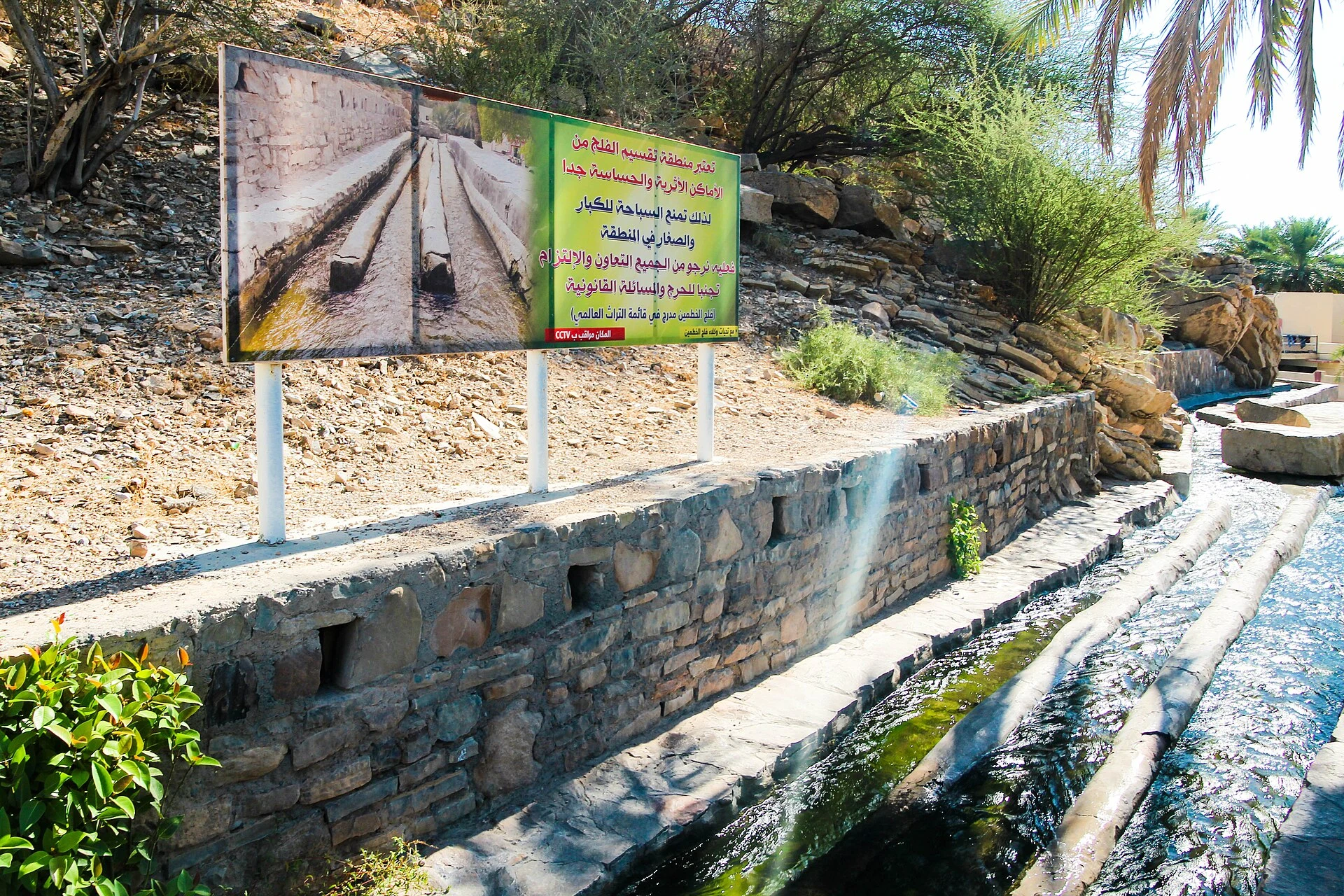 Falaj Al-Khatmayn irrigation channel among palm trees in Birkat Al Mouz, Oman.
