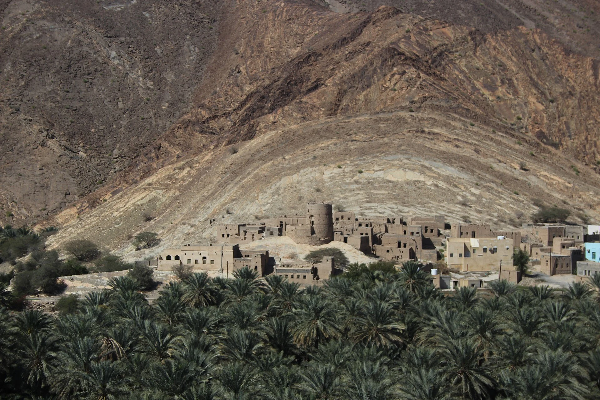 Earthen lane beside a traditional Omani palm oasis.