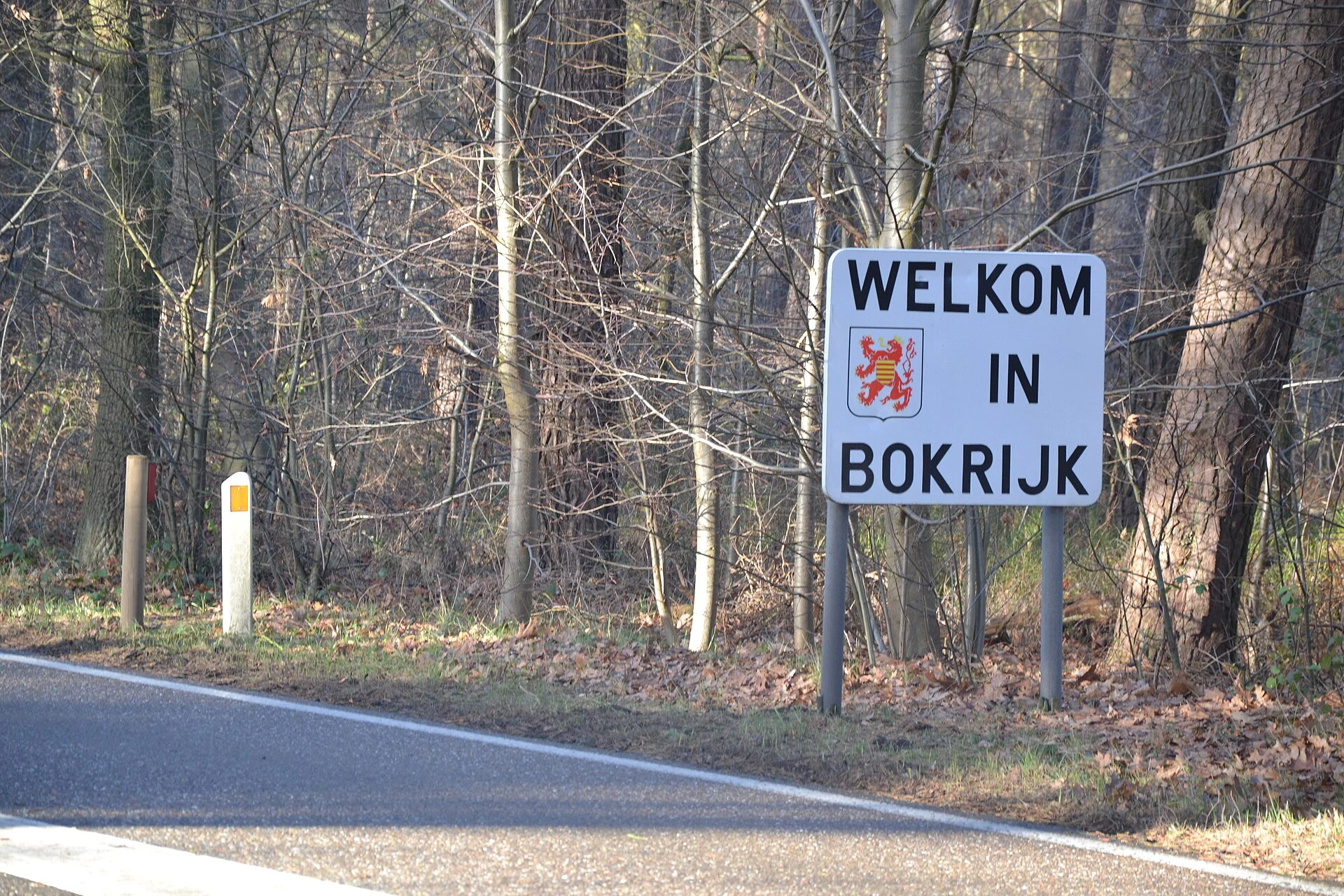 Cyclists ride along Bokrijk’s water-level path through the De Wijers ponds.
