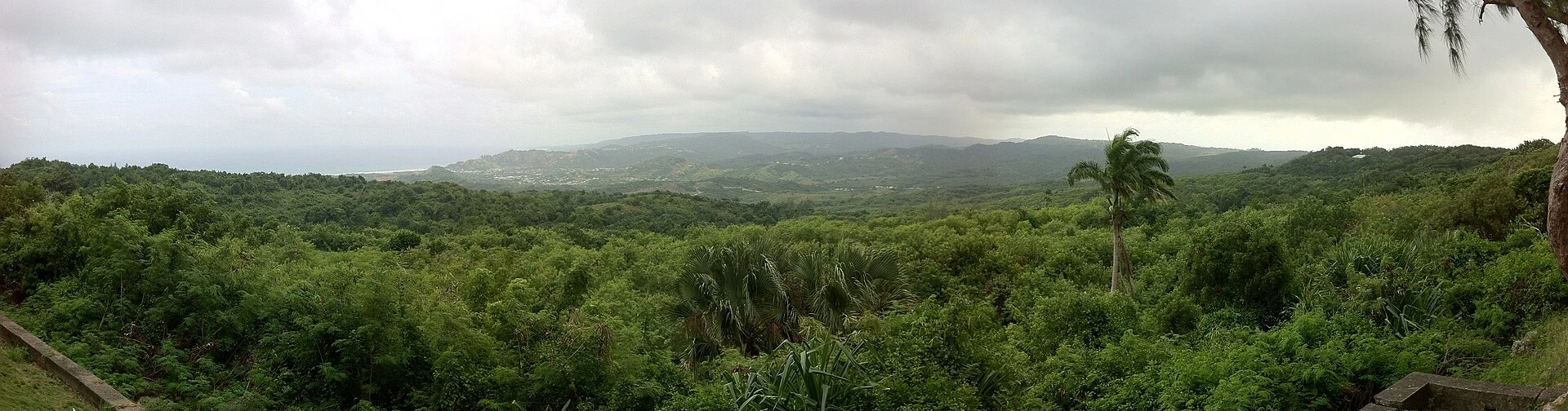 Green hills and folded terrain of Barbados’s Scotland District