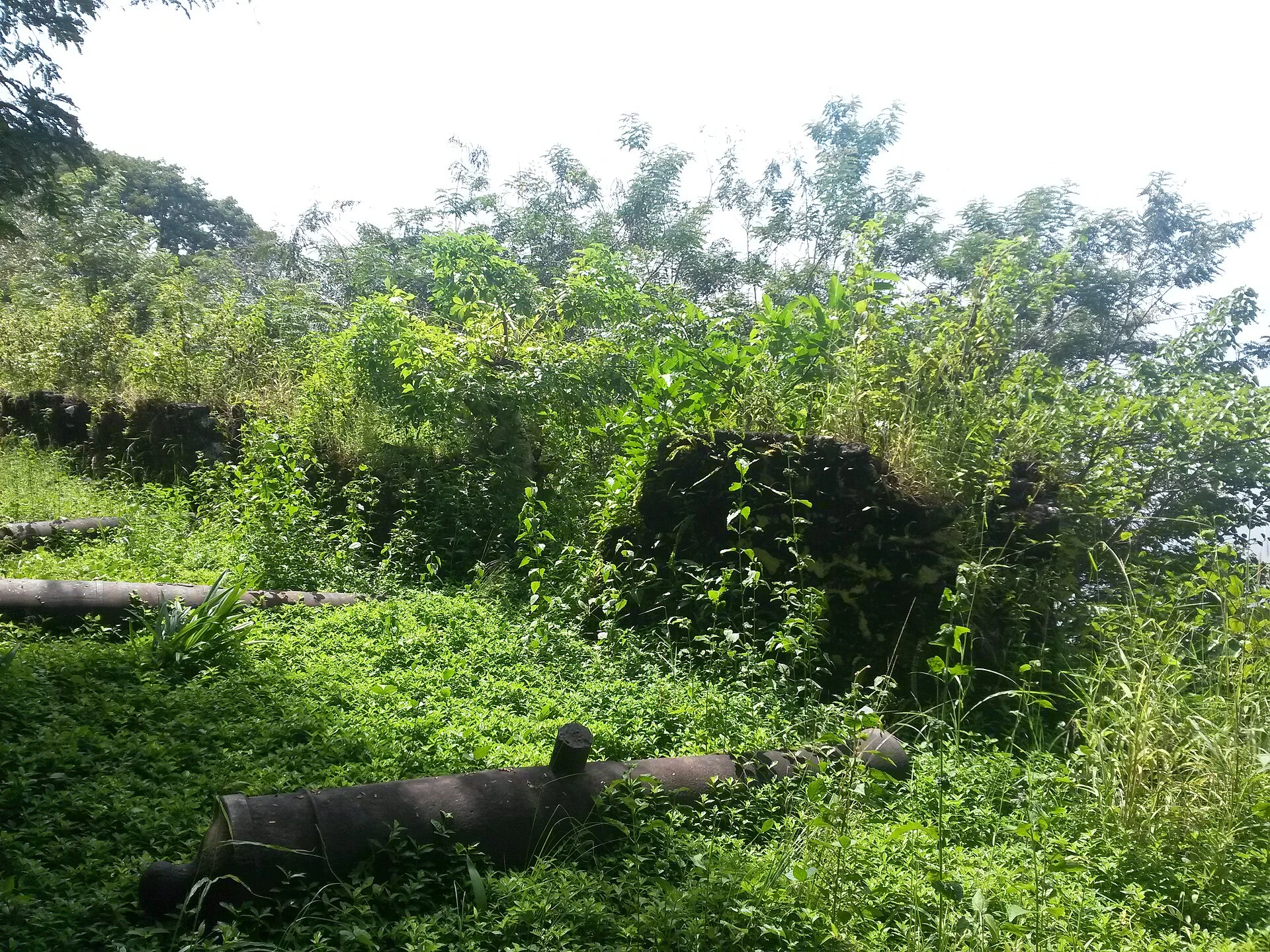 Wide view of Bunce Island ruins among vegetation in the Sierra Leone River estuary.