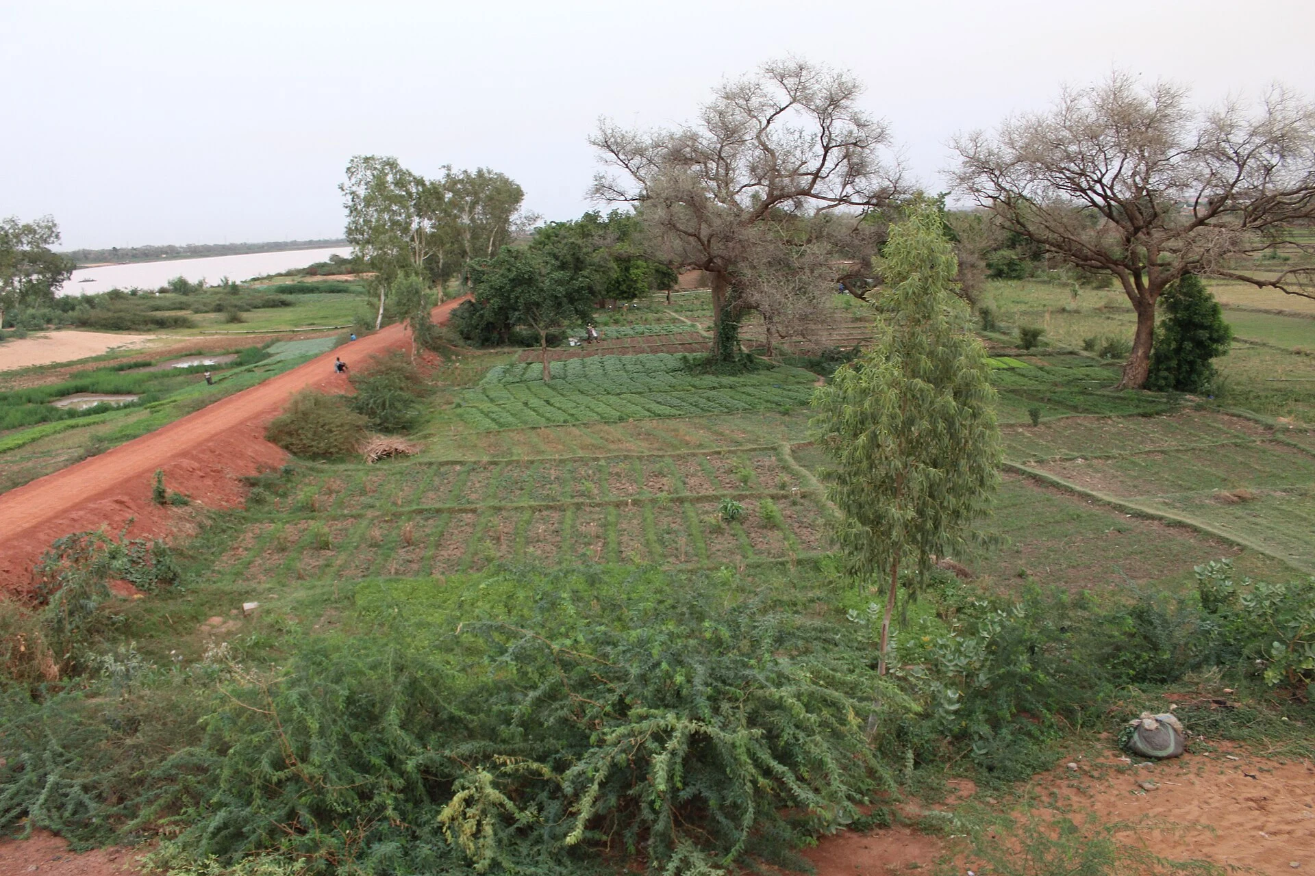 Der Niger bei Niamey.