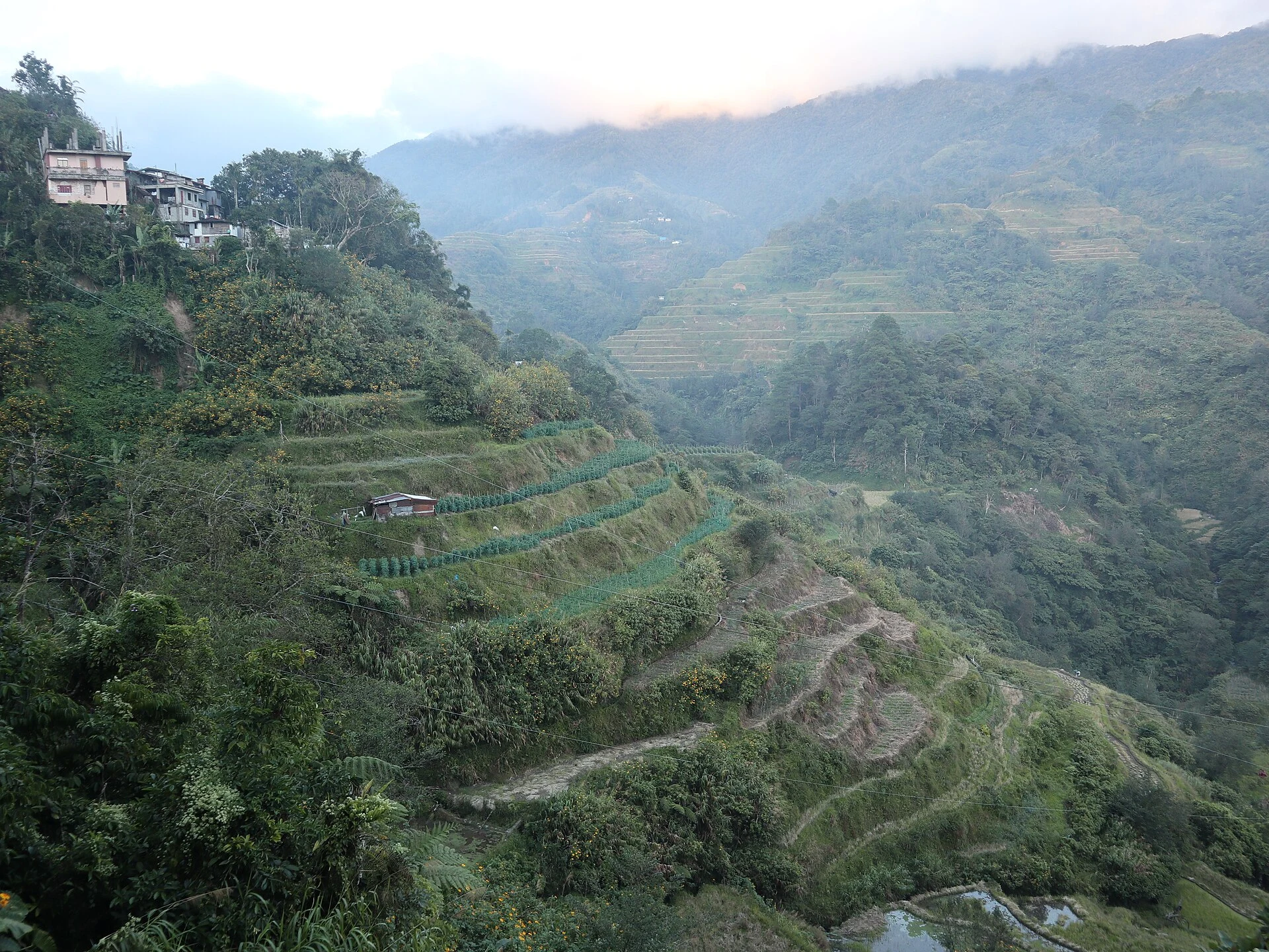 Canal de irrigação e muro de pedra junto a um arrozal em terraços de Ifugao.