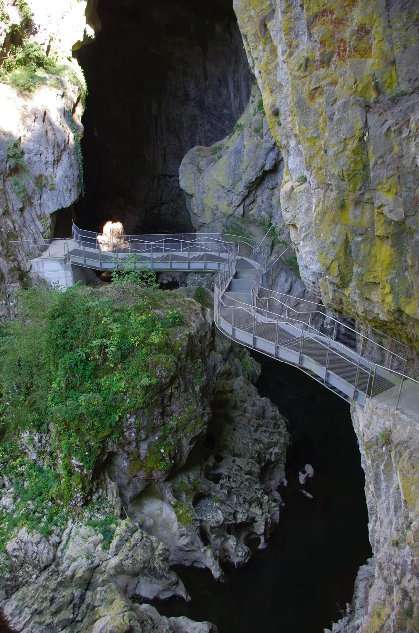 Walking trail beside Velika dolina in Škocjan Caves Park.