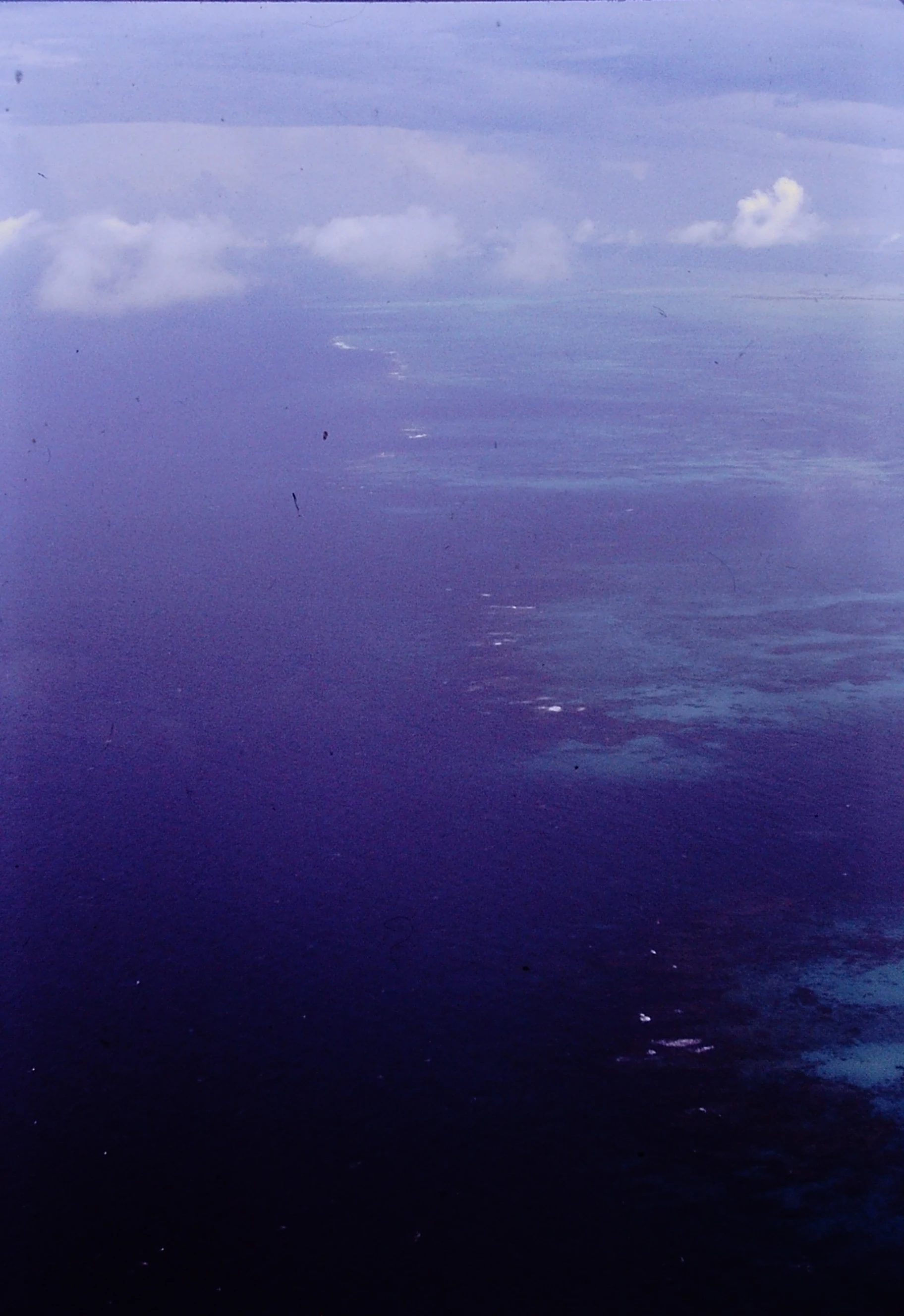 Choosing a Base on Andros for Its Reefs and Mangroves