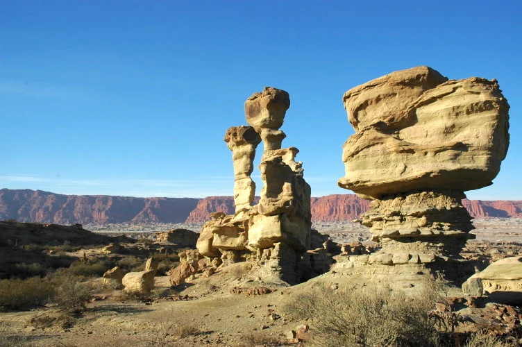 Pale sedimentary formations in Ischigualasto Provincial Park.