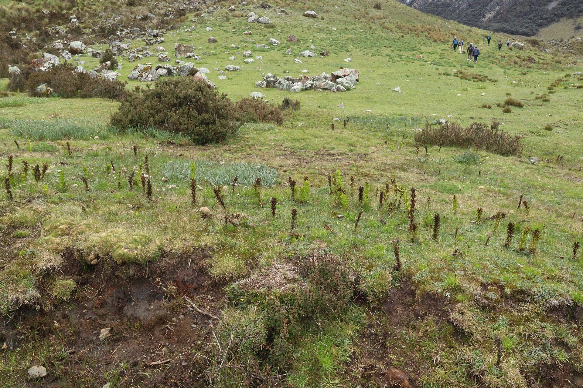 Andean valley and town setting of Chavín de Huántar in Áncash.