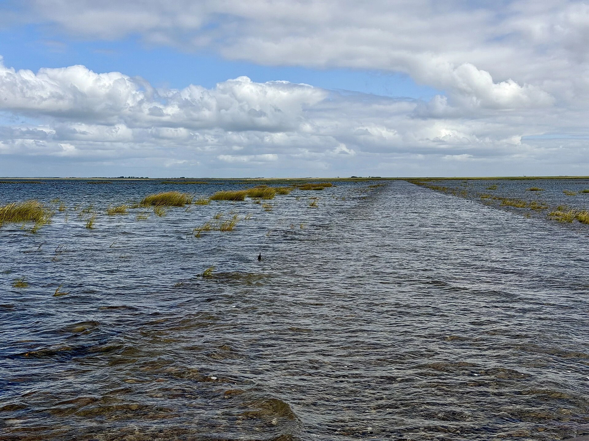 When to Cross to Mandø and Which Transport to Choose