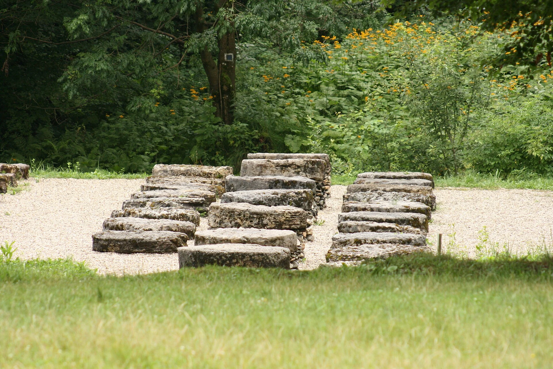 Visitor path among trees and archaeological structures at Sarmizegetusa Regia.