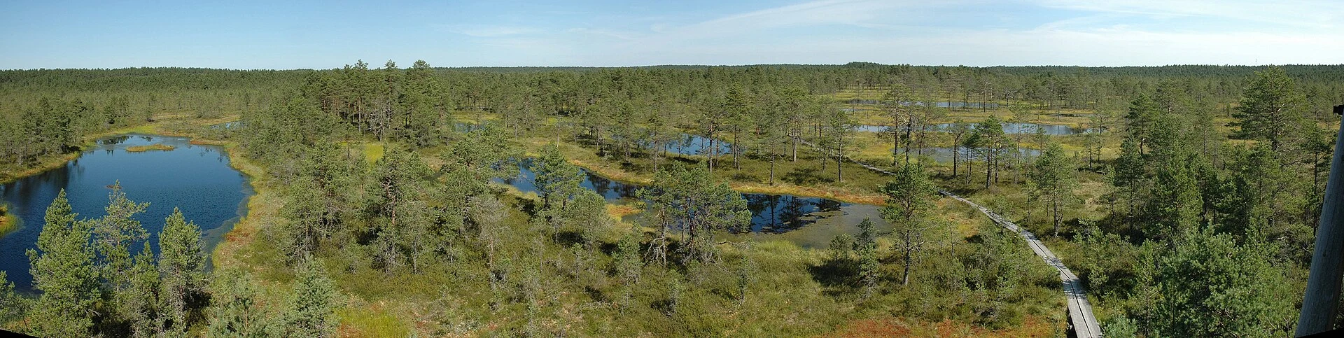 Wooden boardwalk across Viru Bog in Lahemaa National Park.