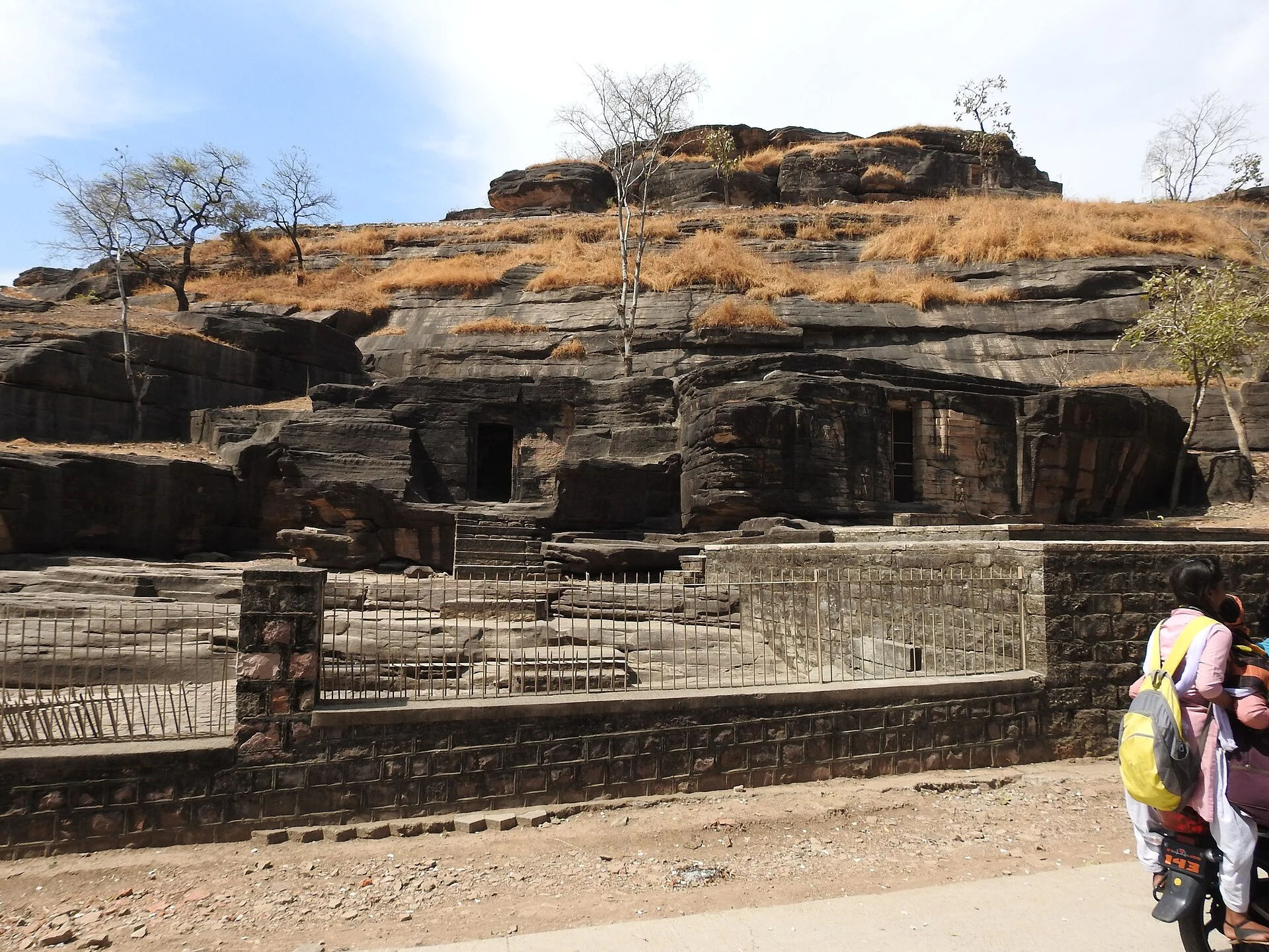 Varaha relief carved at Udayagiri Caves near Vidisha.
