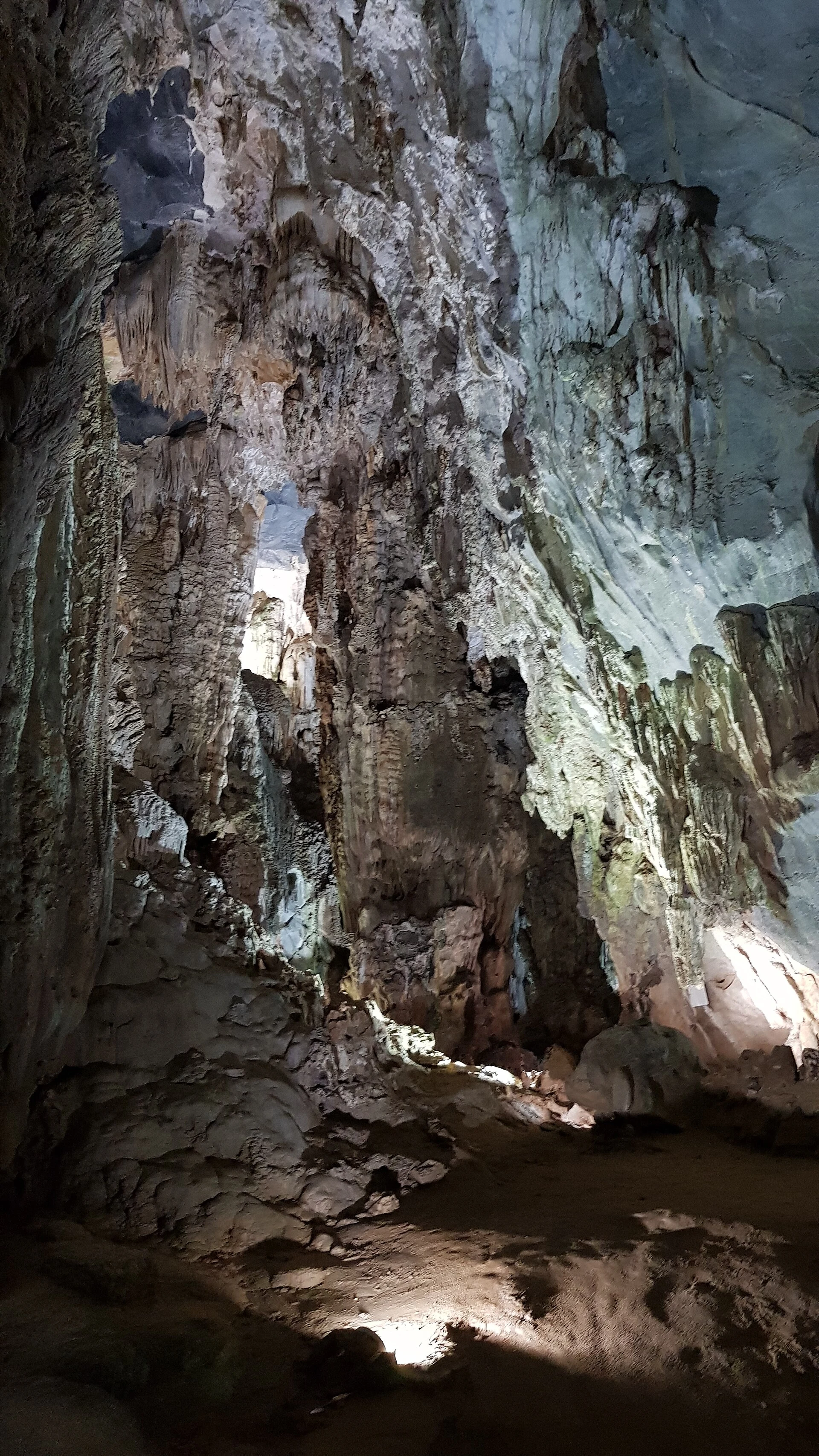 Forest and karst terrain around Pygmy Cave.