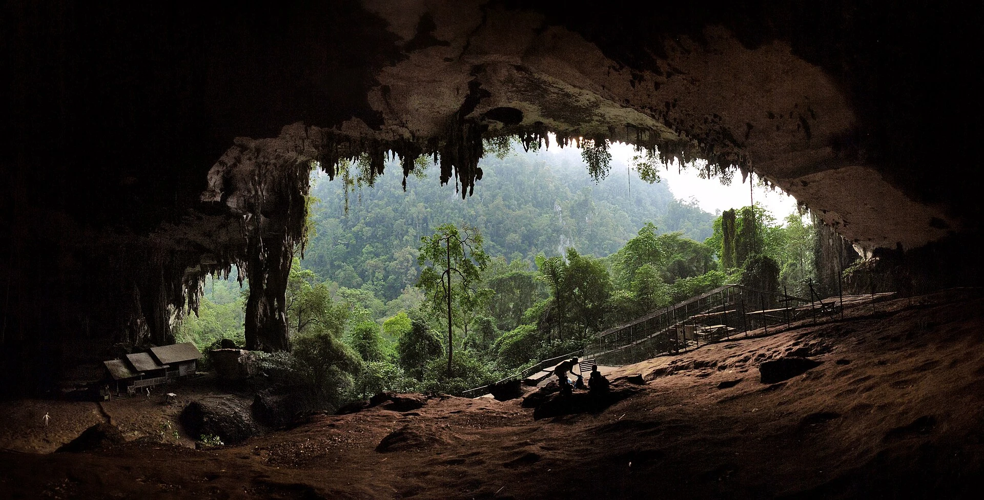 Raised boardwalk through rainforest leading to Niah Great Cave.