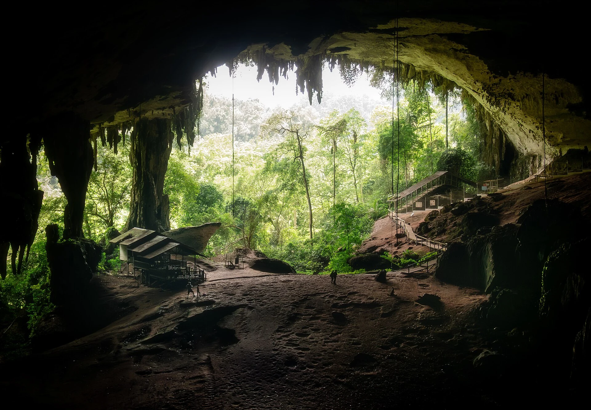 Forest trail leading toward Painted Cave in Niah National Park.