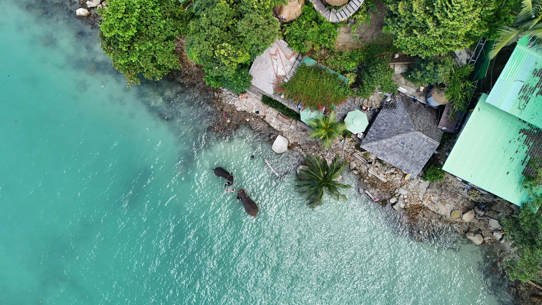 Tropical island coast as visual context for Solomon Islands