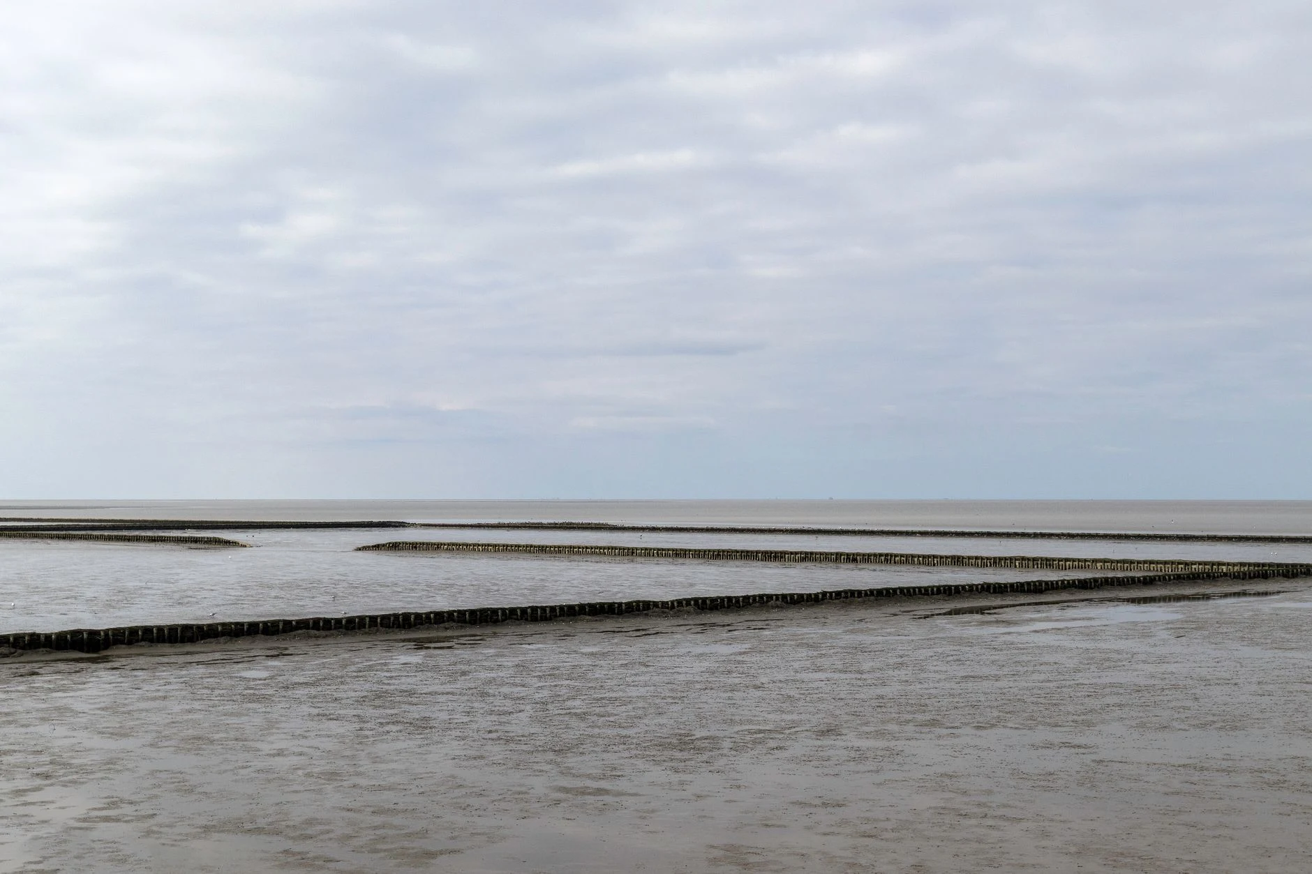 Tidal mudflats and breakwaters on the coast of Norden, Germany.