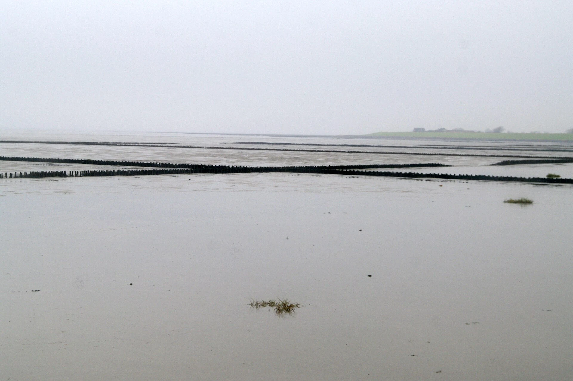 Germany’s Wadden Sea through dikes, guided Watt walks and Hallig Hooge