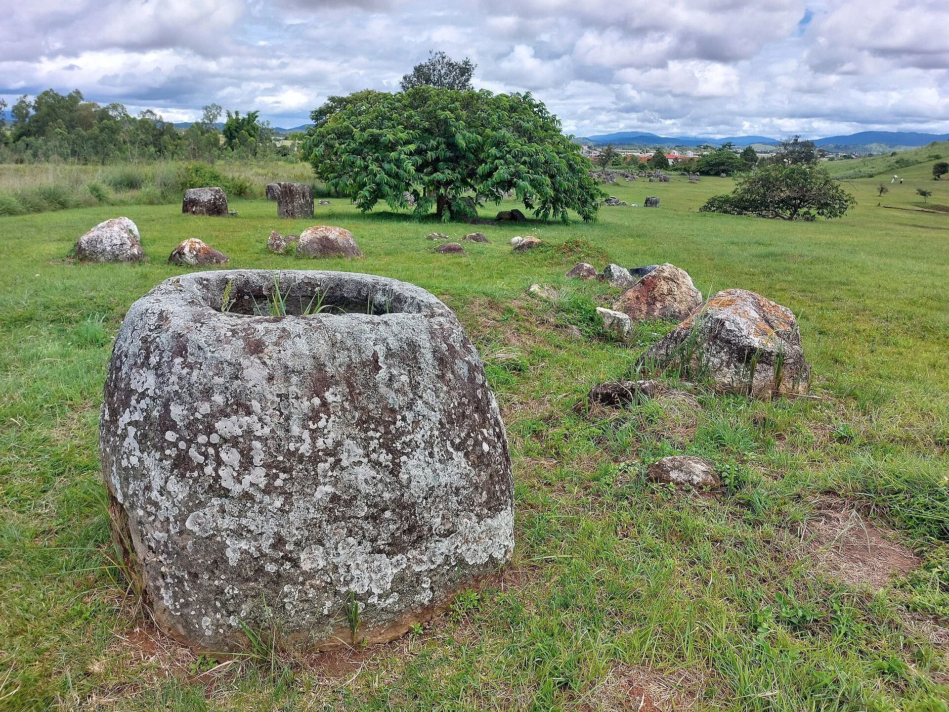 Stone jars and a tree at Site 1 of the Plain of Jars, Laos.