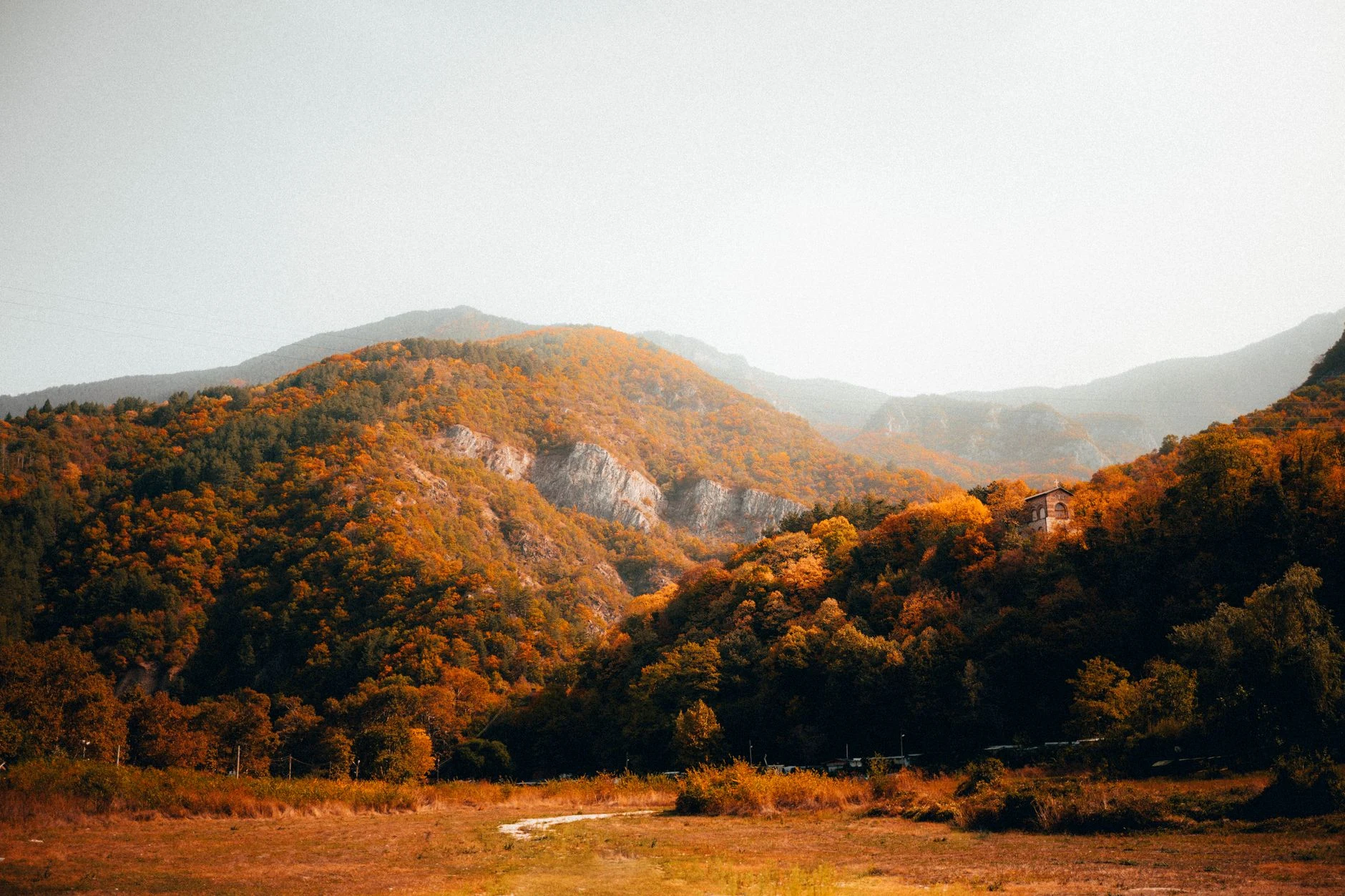 View from a narrow-gauge train towards mountain slopes near Razlog.