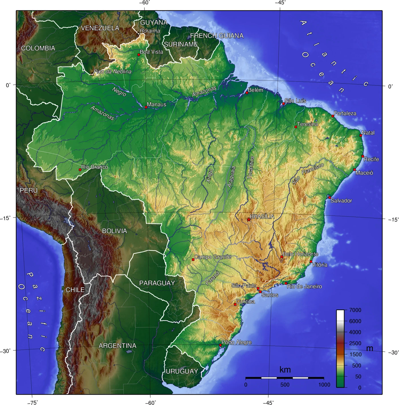 Detail of Brazilian real banknotes and coins