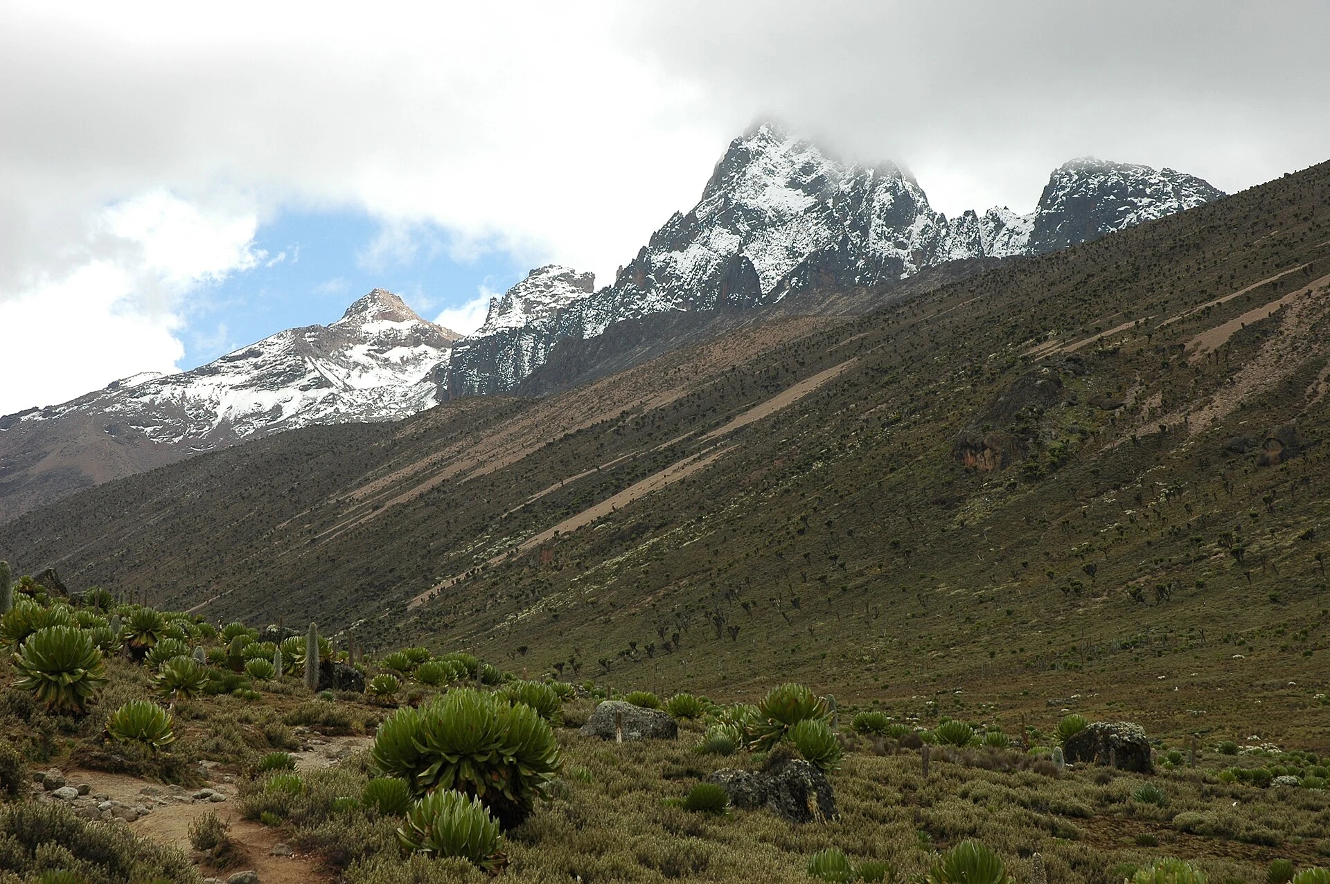 Sirimon Route trail through Mount Kenya’s Afro-alpine vegetation.