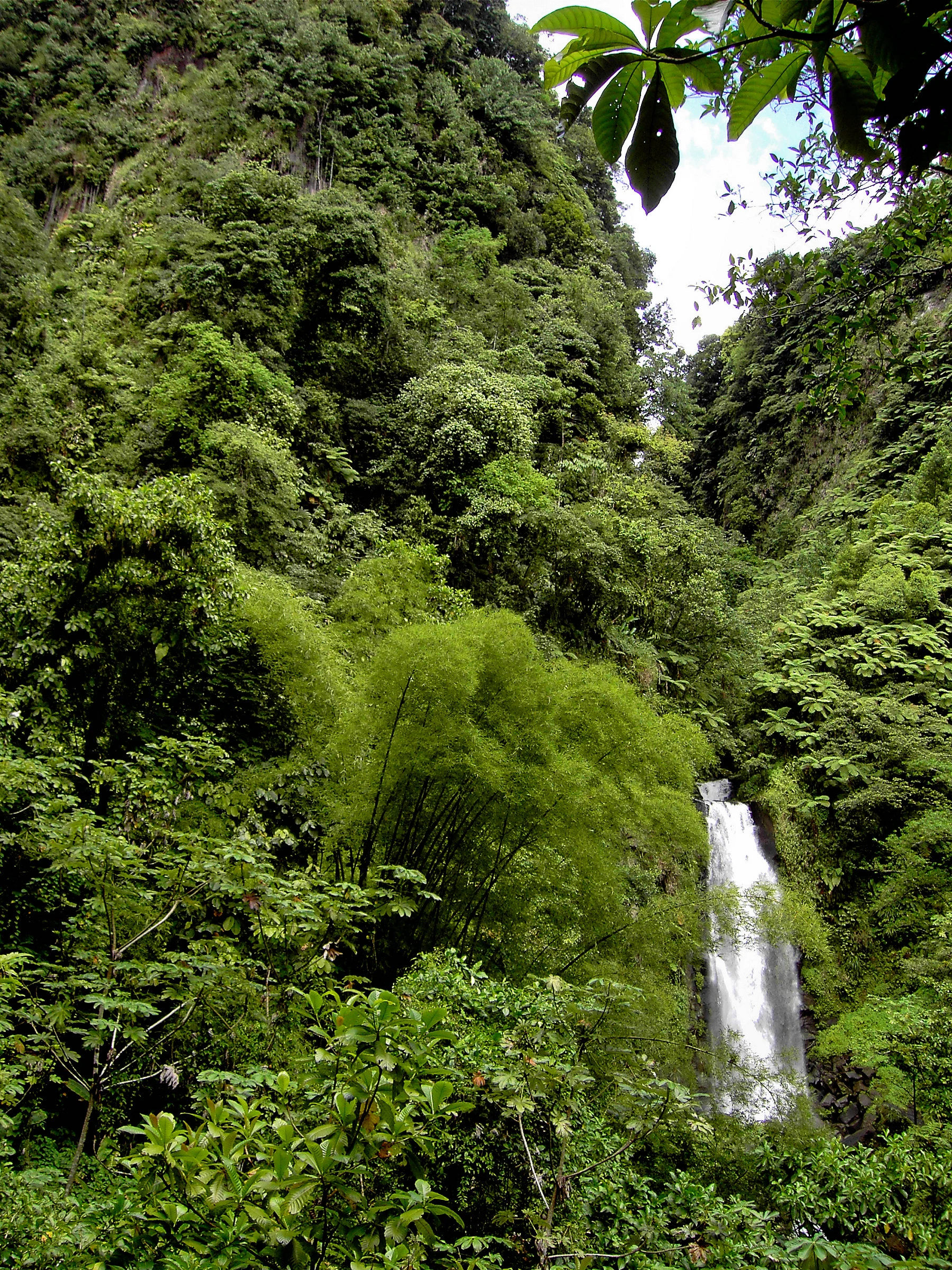 Geothermal steam among the slopes of the Valley of Desolation in Morne Trois Pitons.