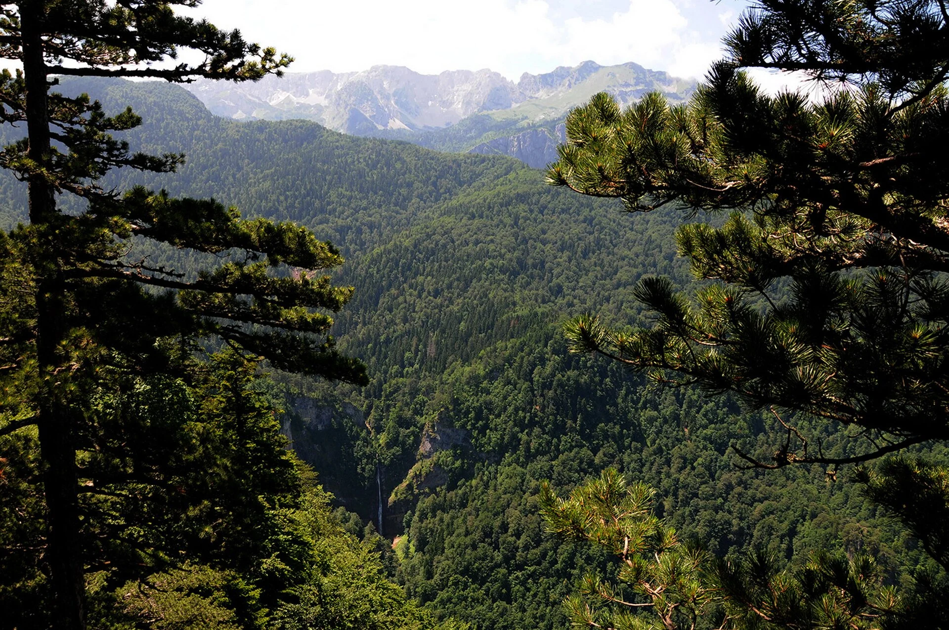 Sutjeska brings together Perućica and the memory of Tjentište