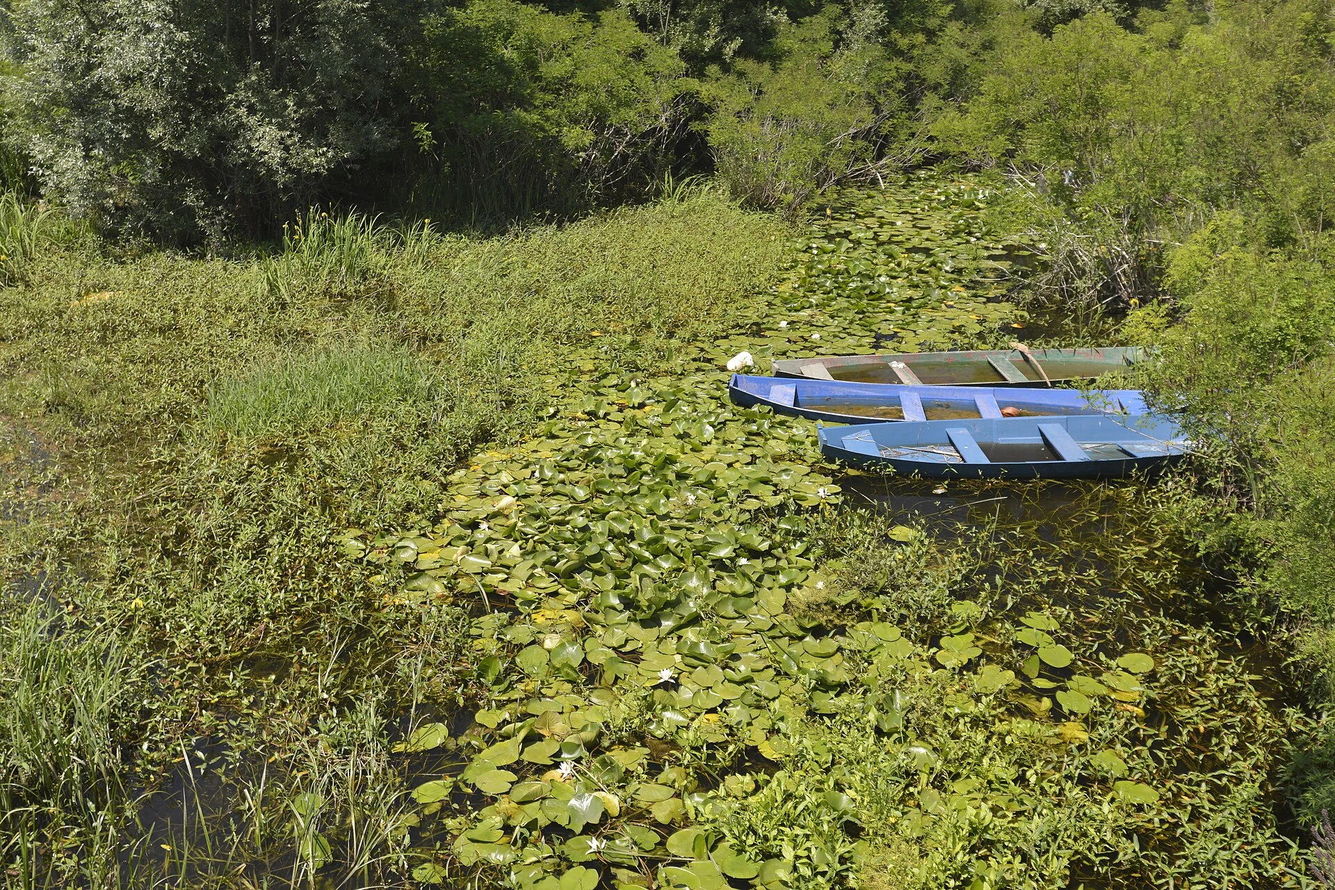 Lake Skadar from Podgorica by Train and on the Water