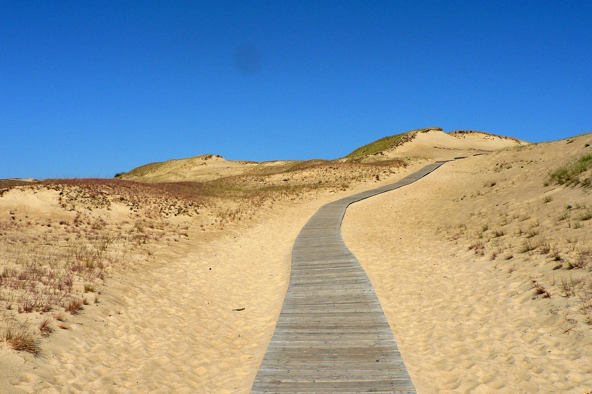 Sentiero segnalato tra le dune grigie della riserva naturale di Nagliai.