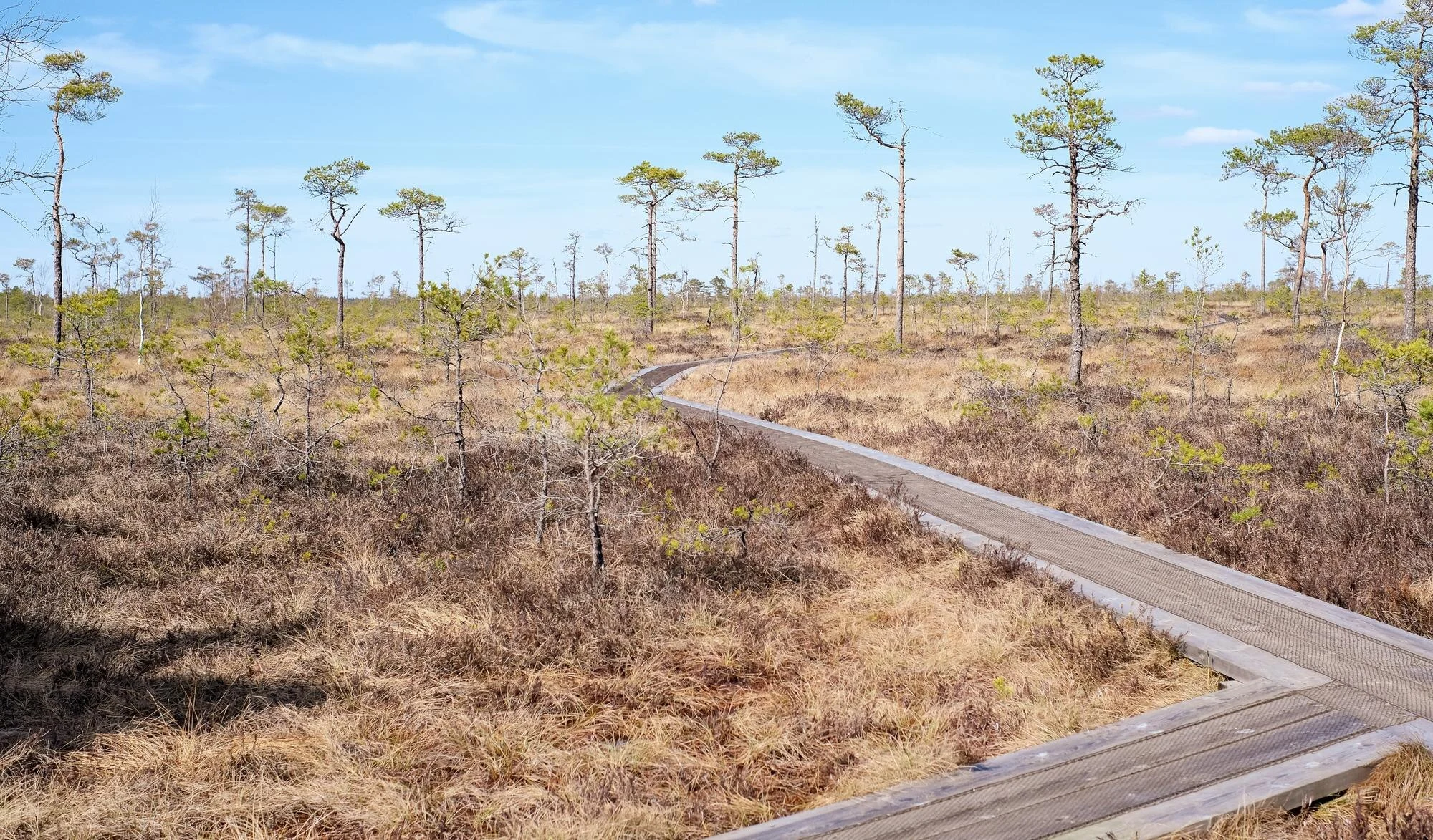 Planning Soomaa amid floods, bogs and boardwalks