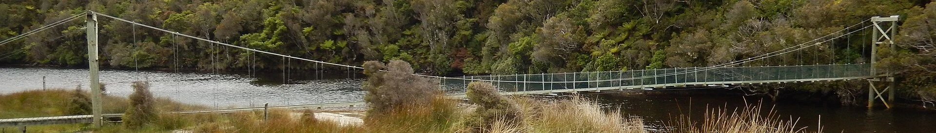 Maori Beach with native forest and coastline on the Rakiura Track.