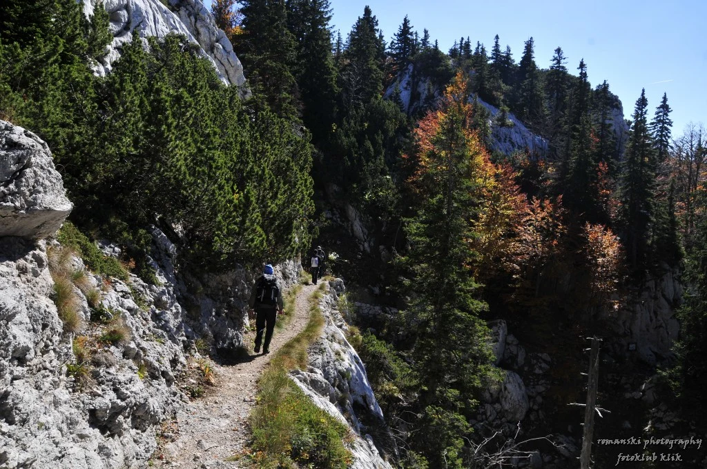Hiker on the Premužić Trail among karst formations and beech trees in Northern Velebit.
